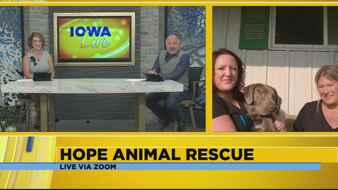 Adopt from Hope Animal Rescue