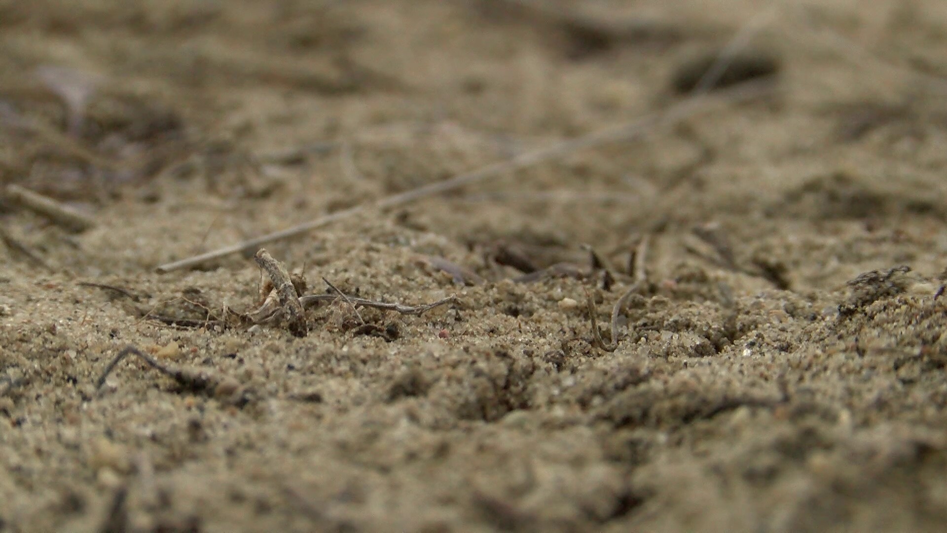 Osceola is facing a "severe" drought this year, and the city's primary water reservoir, West Lake, is drying up quickly.