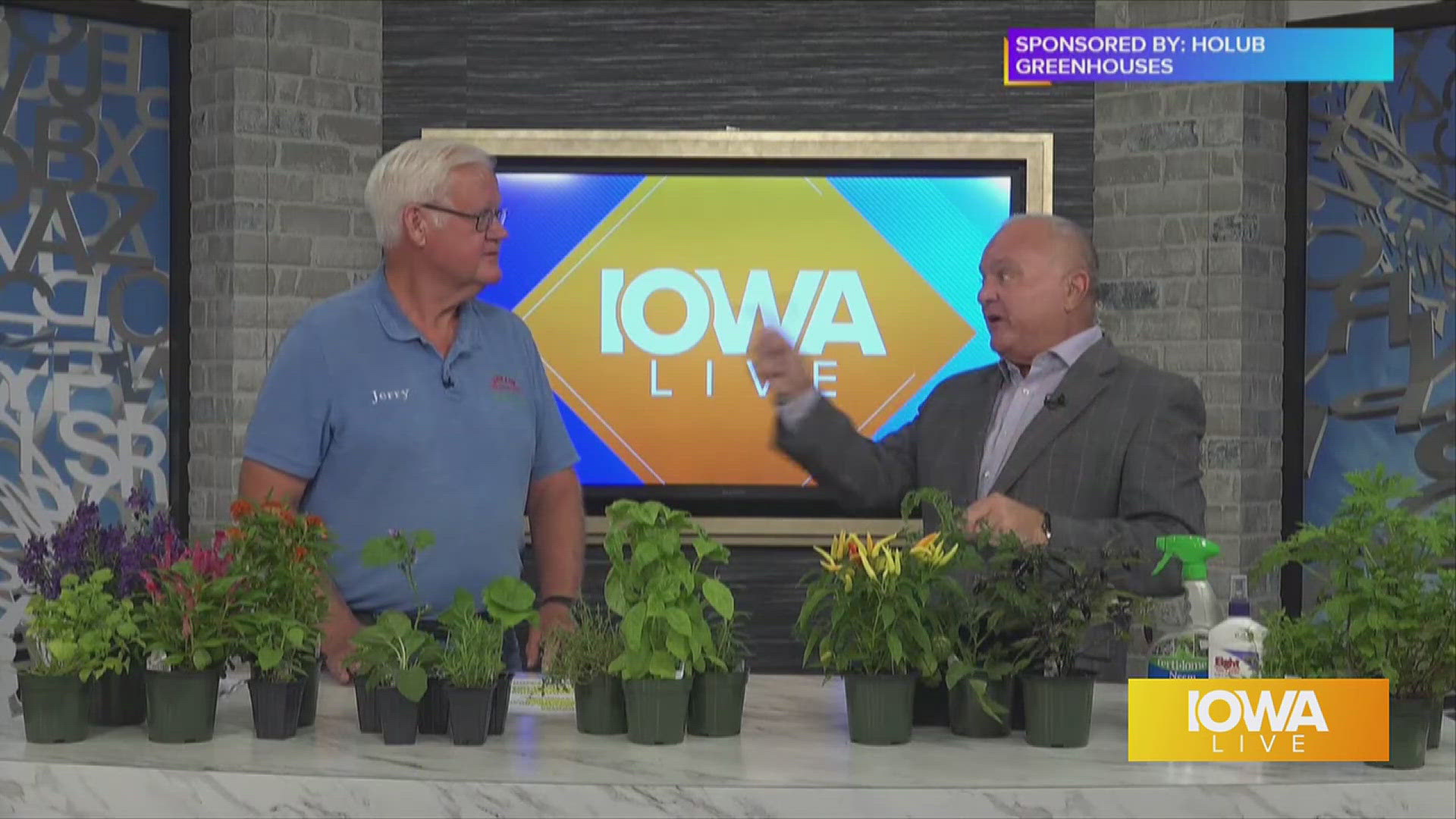 Not sure what to plant? Let the experts at Holub Greenhouses help you find the best fit for your garden at an affordable price | Paid Content