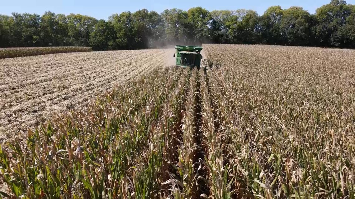 USDA programs supporting farmers make return under shutdown-ending resolution