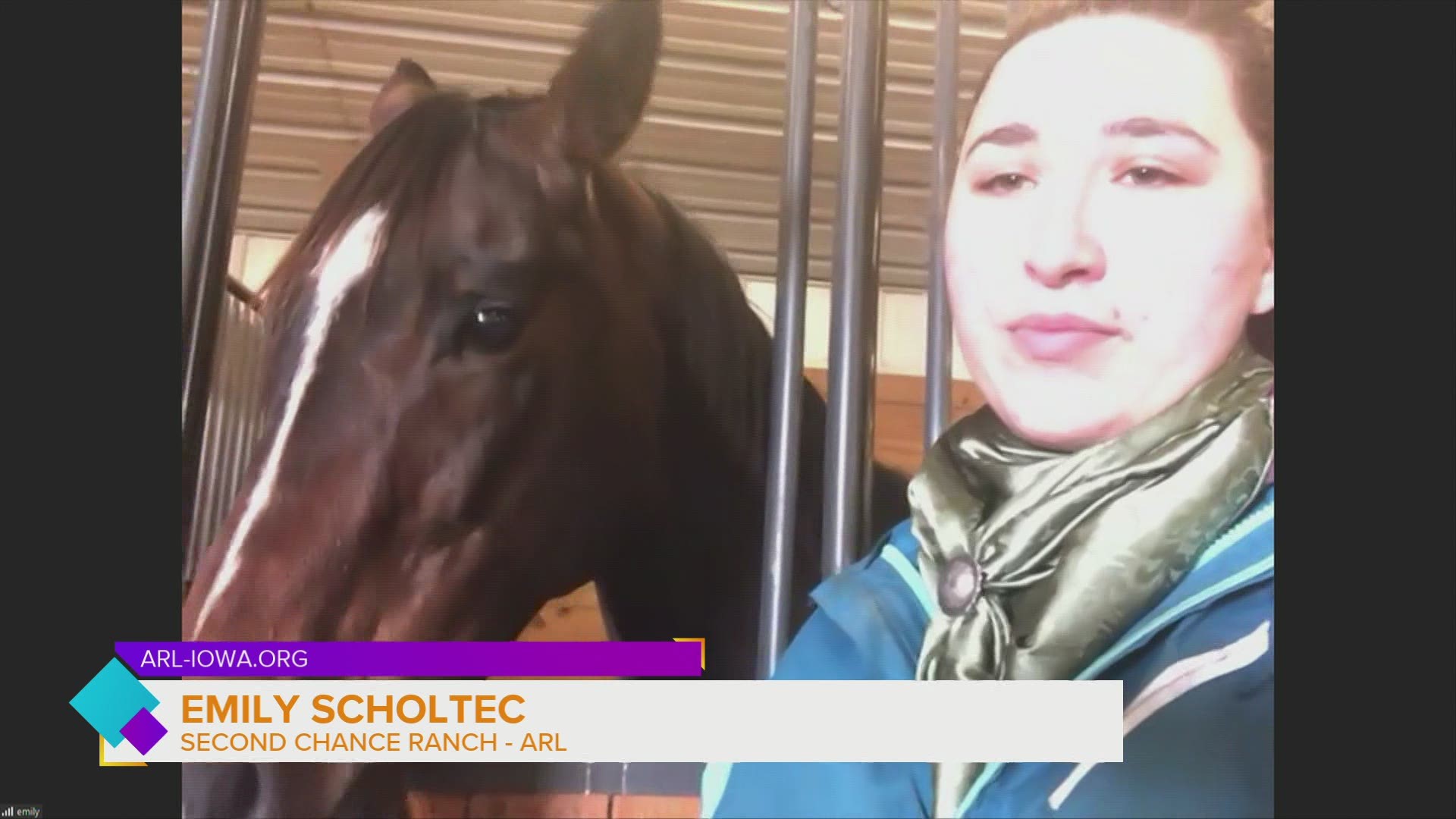 Emily Scholtec of the ARL introduces you to Jill, a Thoroughbred horse who is looking for a new home! Also, learn how to FOSTER animals like horses, roosters & pigs