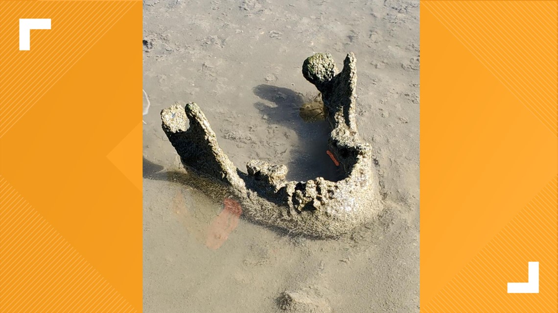 Jawbone in Iowa River determined to be prehistoric | weareiowa.com