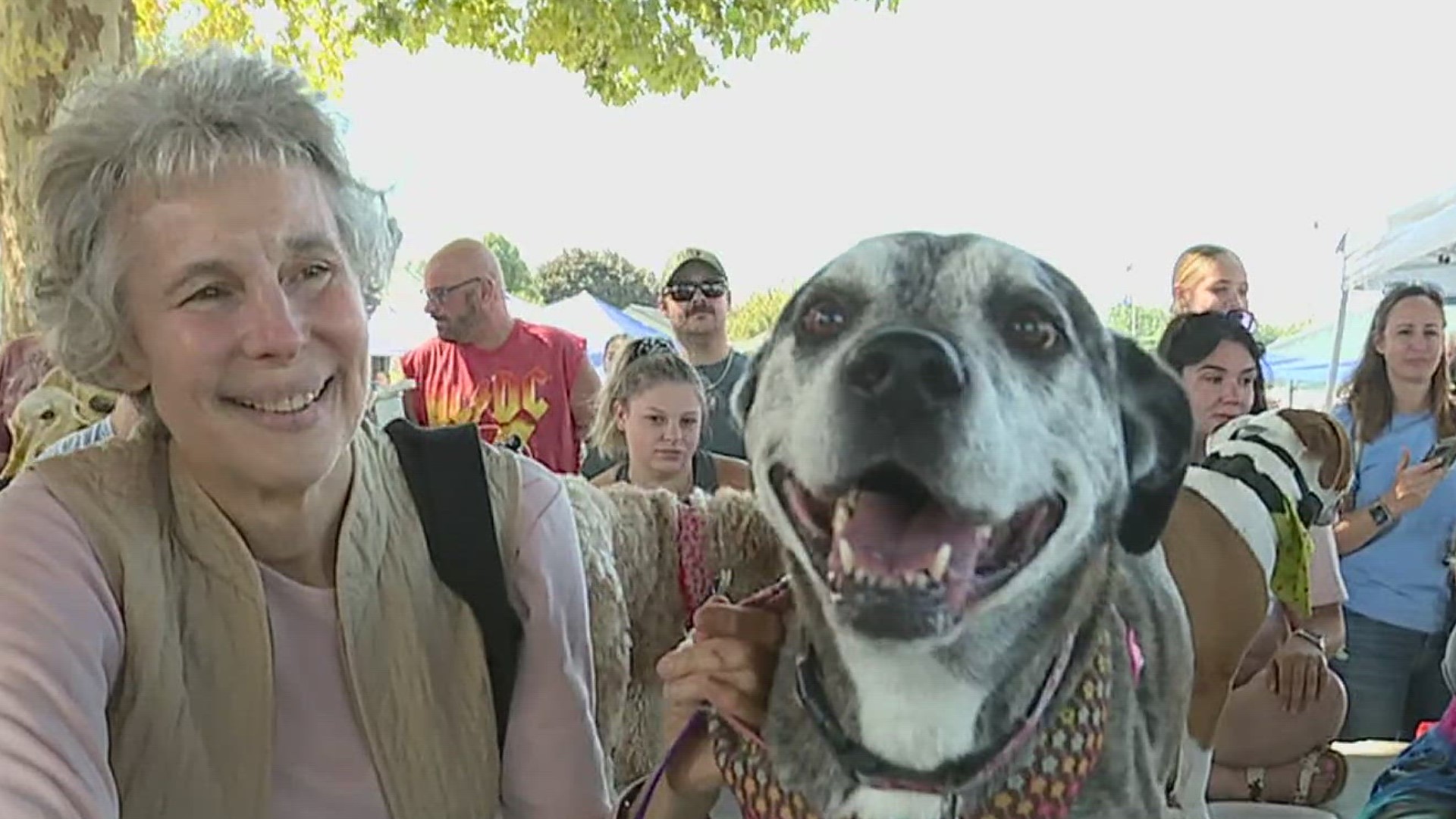 Animal Rescue Inc. hosts annual Dogs' Day in the Park