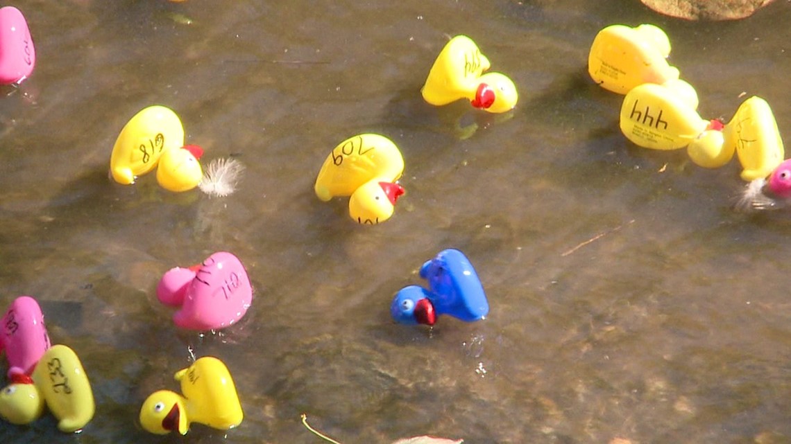 Rubber Duck Derby returns with more ducks to Lebanon County - Vimarsana News