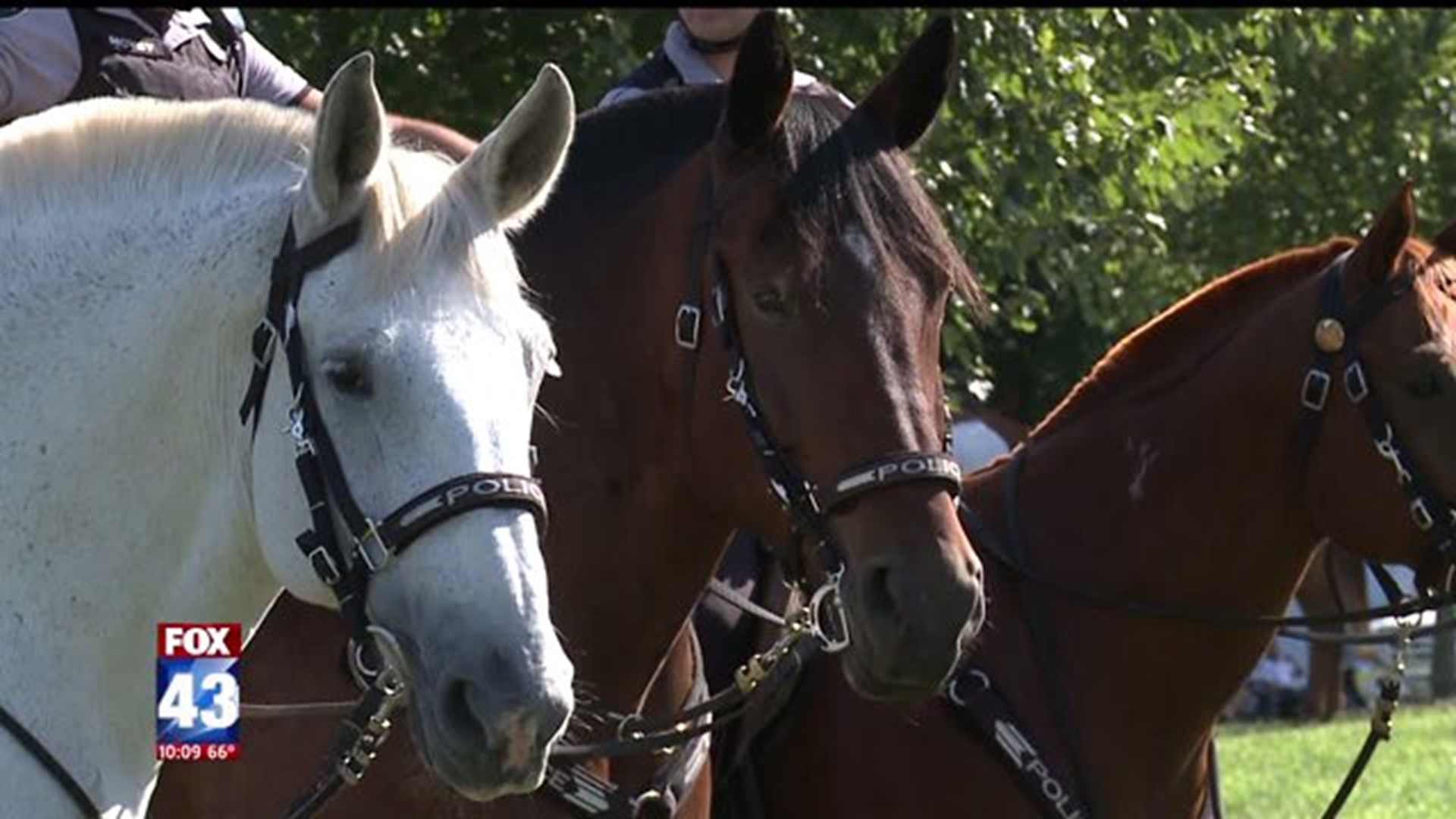 8th Annual Benefit Horse Show Helps Lancaster Mounted Patrols