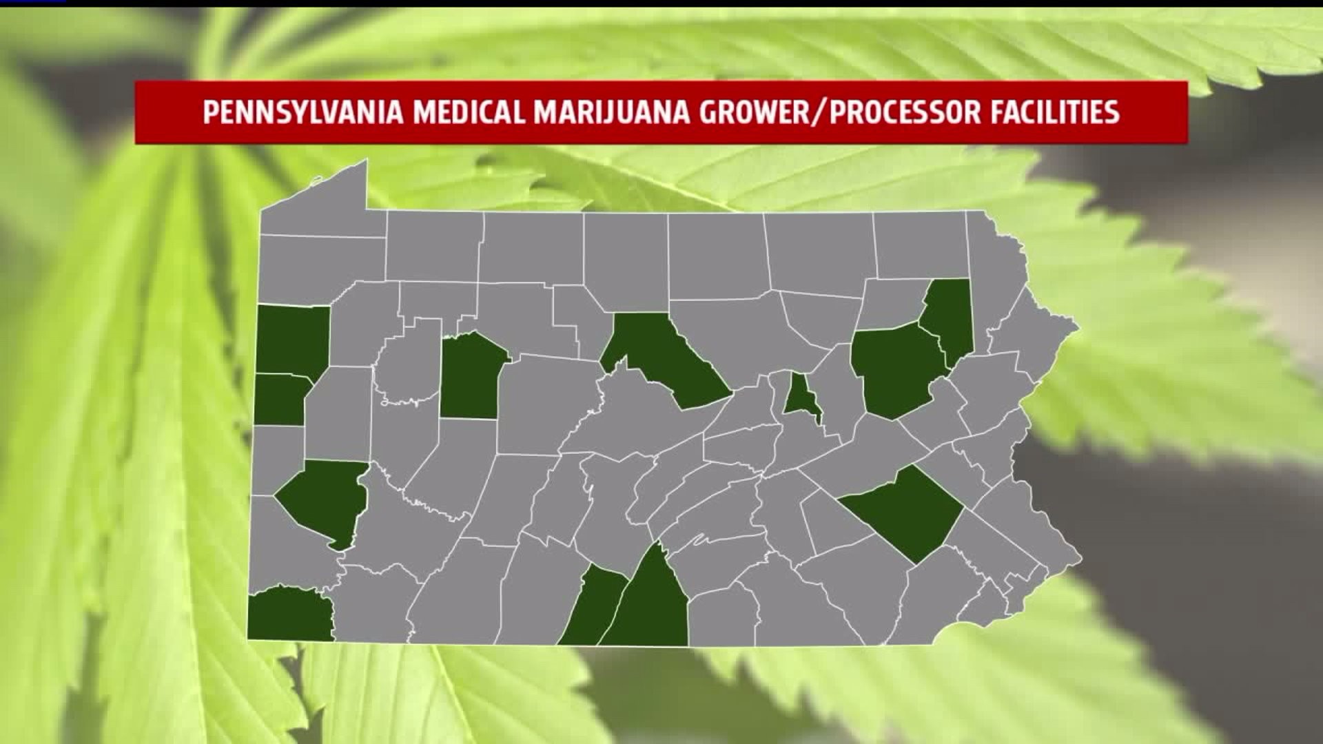 FOX43 Focal Point: Cannabis In The Commonwealth  Medical marijuana in Pa. "improving global health"