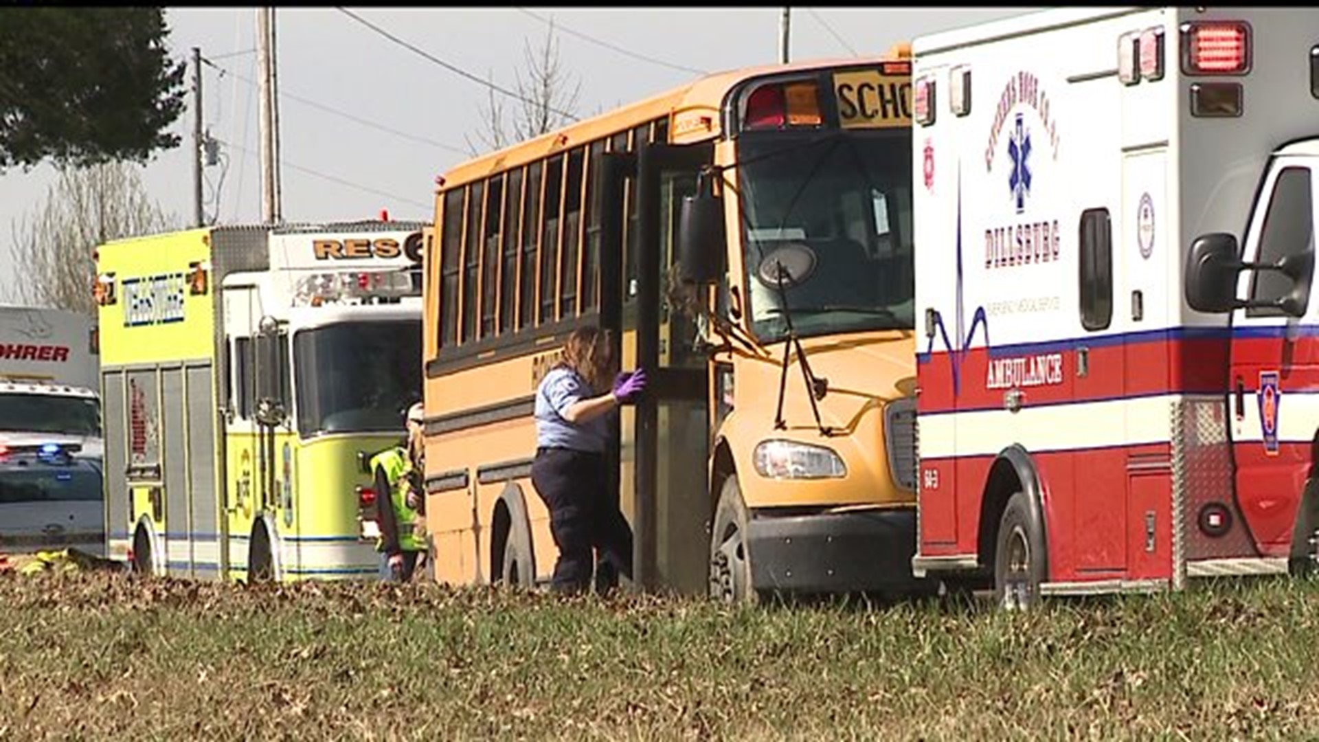 Bus crashes while avoiding deer in York County