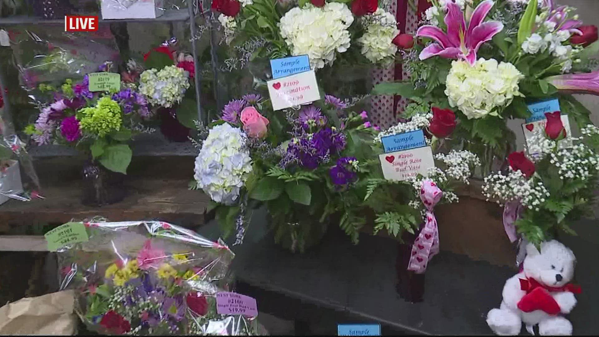 Royer S Flowers Harrisburg Pennsylvania Best Flower Site