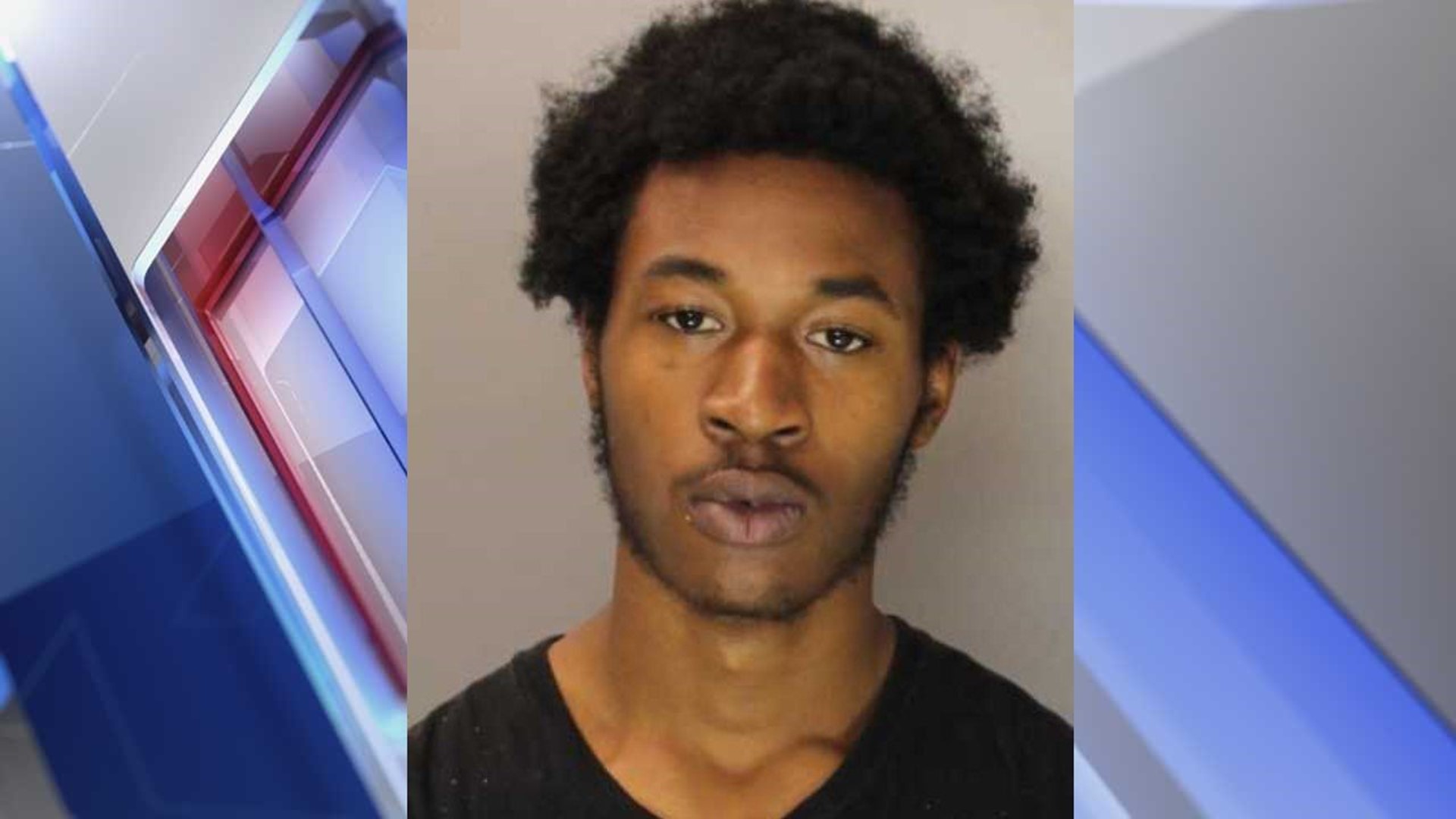 Police: Steelton Man, High On Pcp And Marijuana, Punched And Bit 