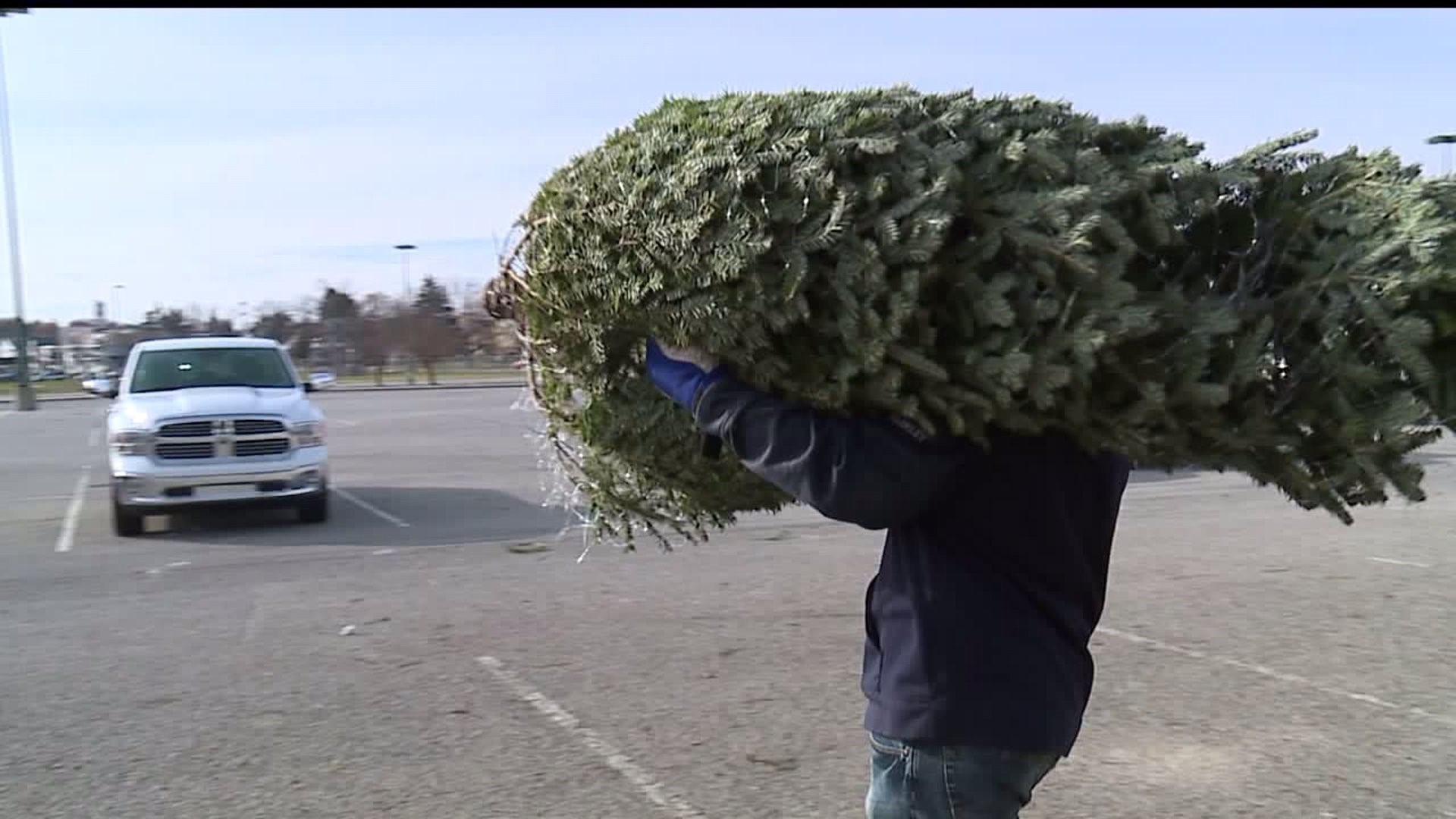 Strathmeyer Christmas Trees hosts Winter Wonderland and Pop-Up Market
