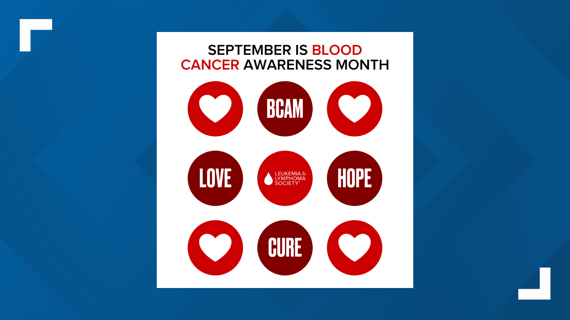 Chumi Khurana, Chair of the Board of Trustees for the Eastern Pa.-Delaware region of LLS, joined FOX43 on Sept. 8 to discuss Blood Cancer Awareness Month.