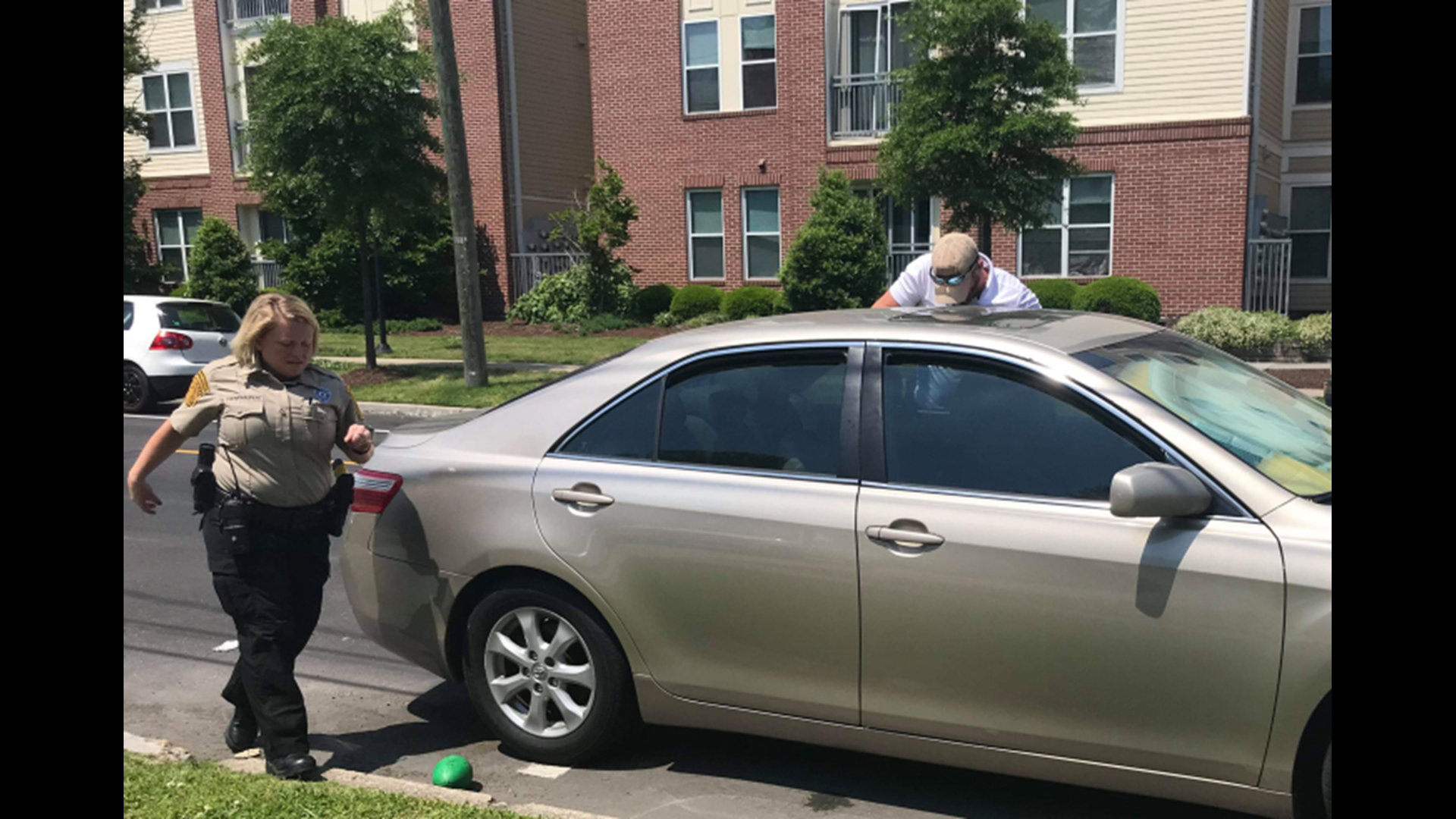 Man smashes window to rescue puppy trapped in hot car | fox43.com