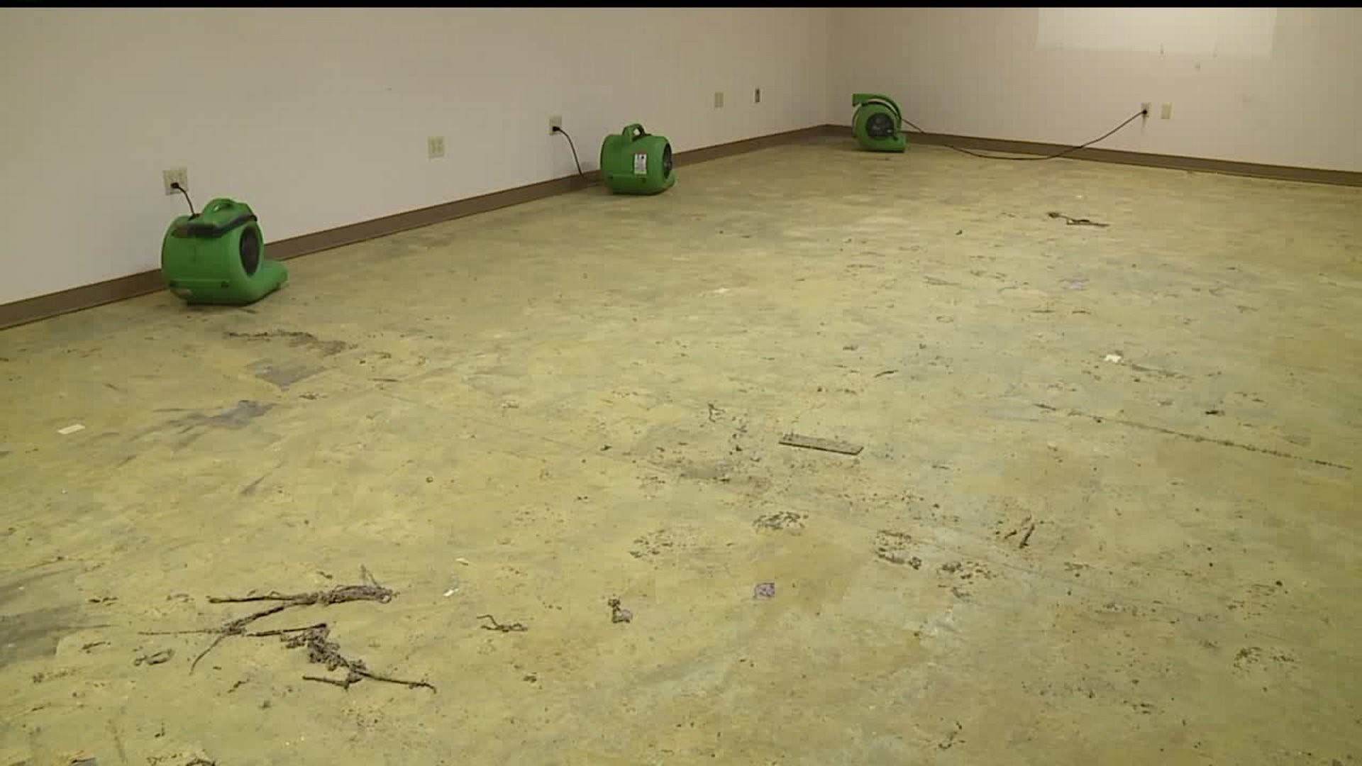 Mold issues weeks after flooding