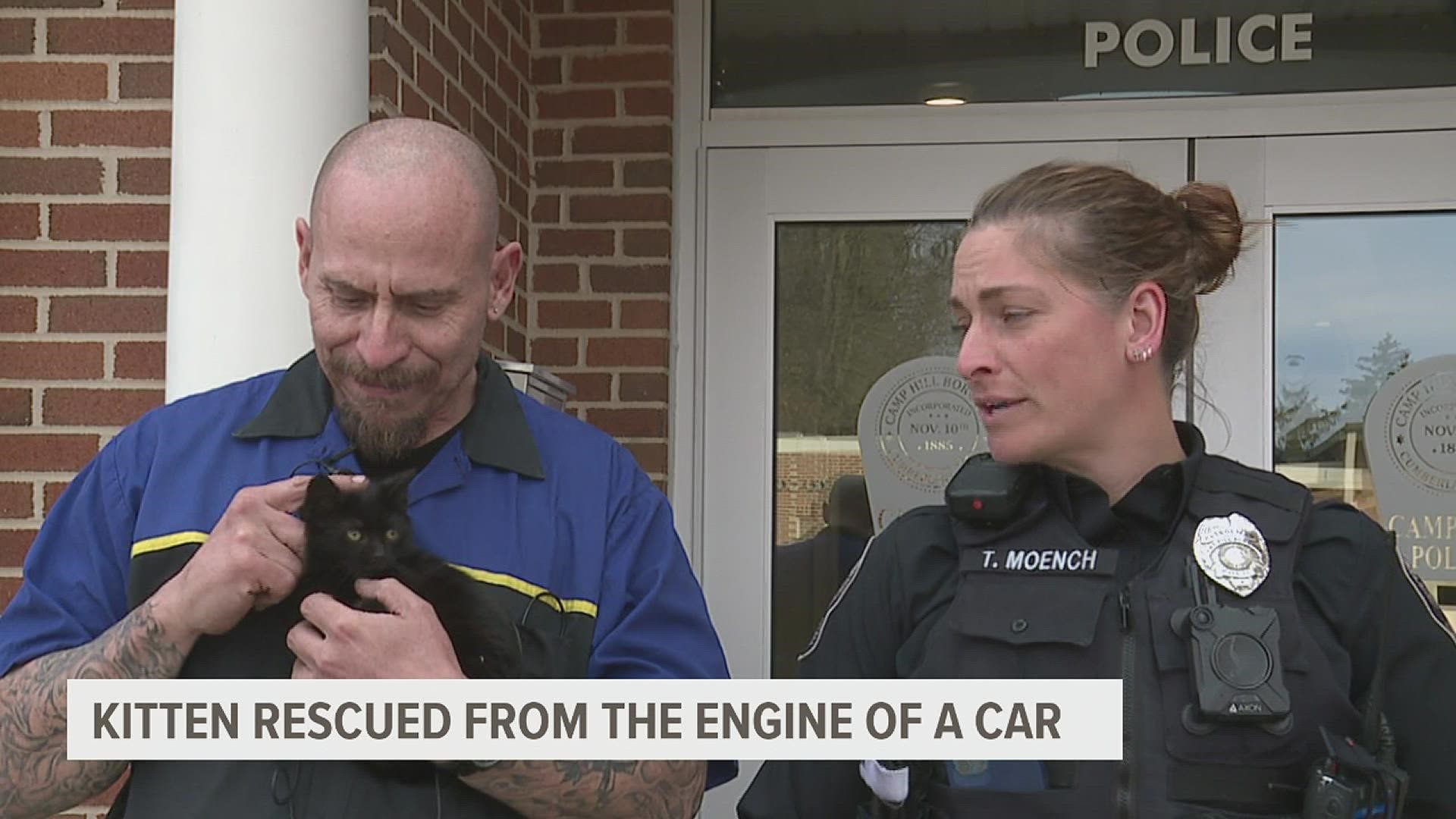 It all started when the owner of the car heard meowing coming from the front of her vehicle.