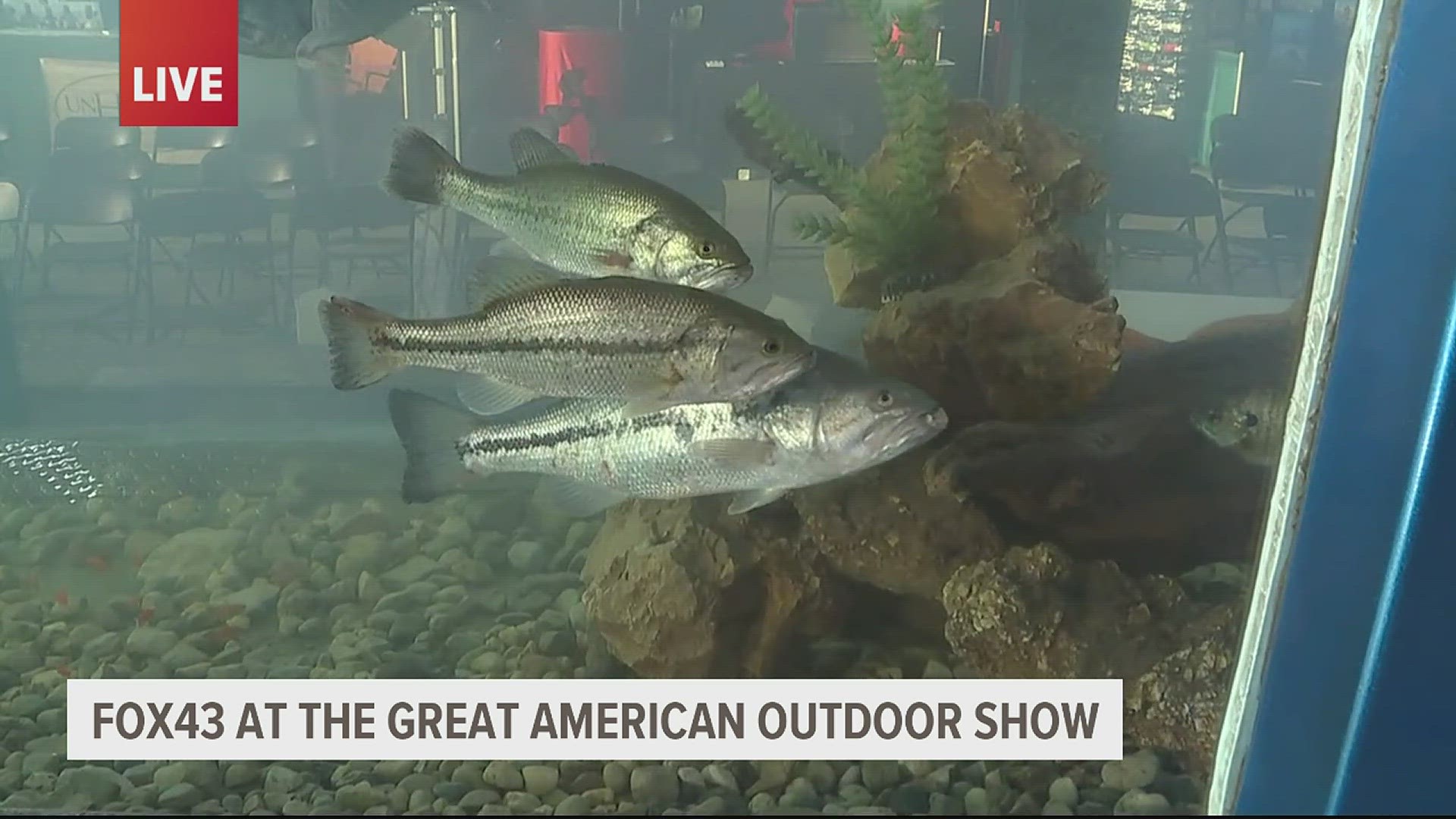 The Great American Outdoor Show is back in Harrisburg, and has over 1,000 exhibits.
