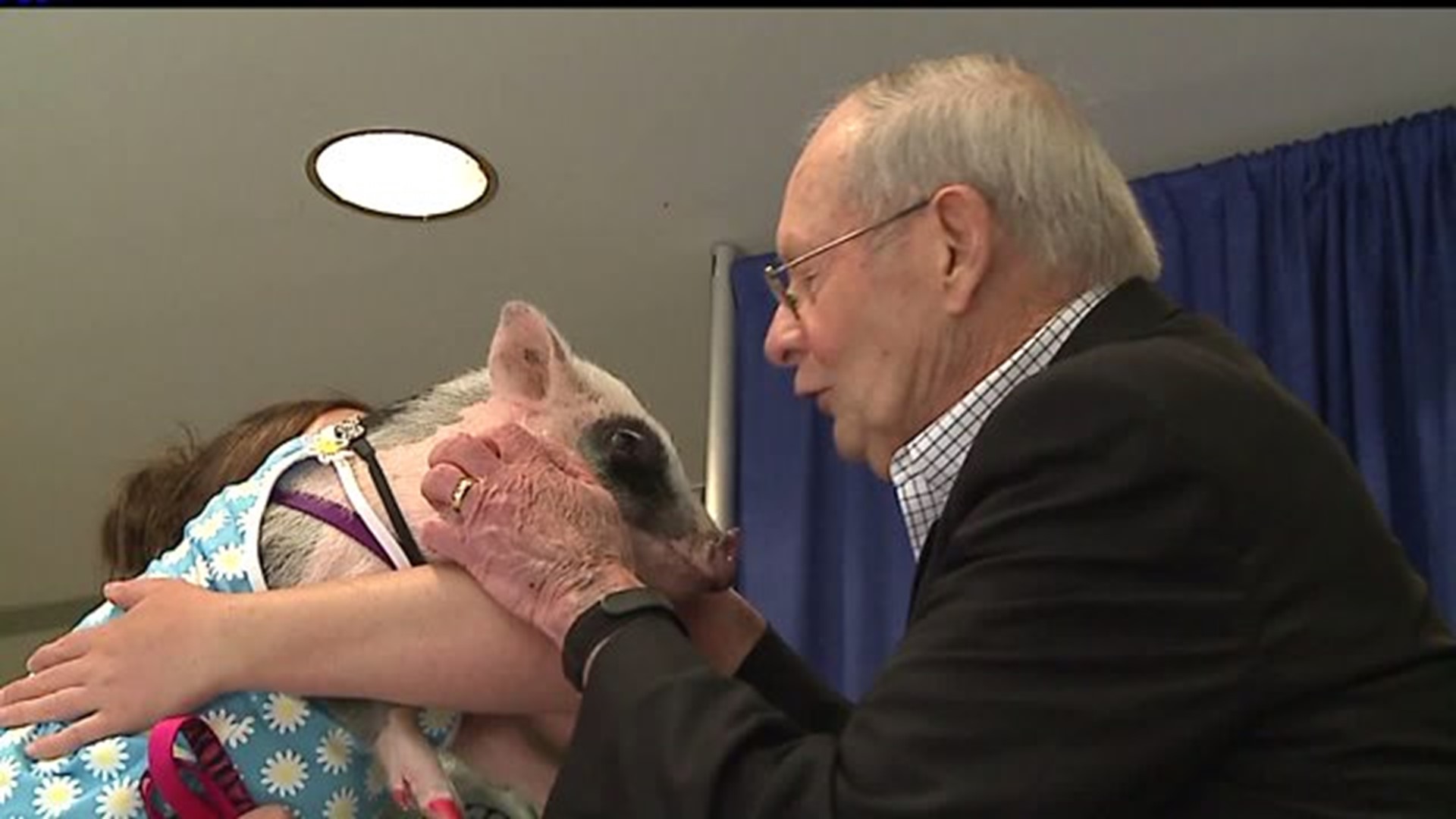 A rotary club member kisses a pig all in the name of charity
