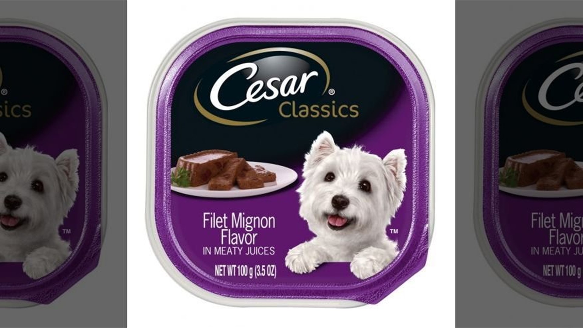 Recall Cesar brand dog food due to potential choking risk