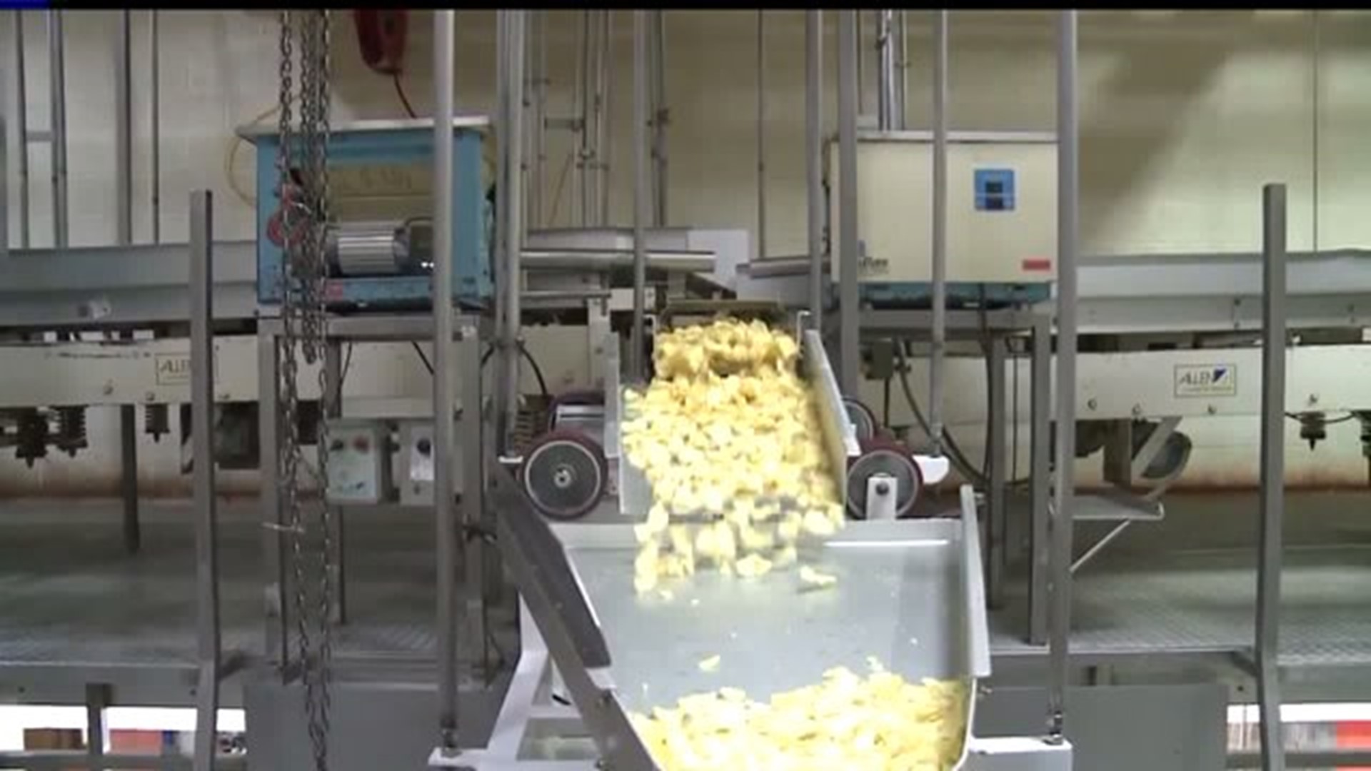 Making chips at Martin`s Potato Chips in Jackson Township