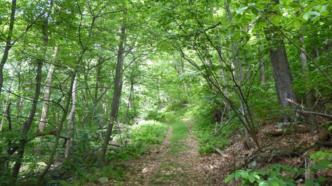 Pennsylvania is getting 3 new state parks, including one in York County - Vimarsana News
