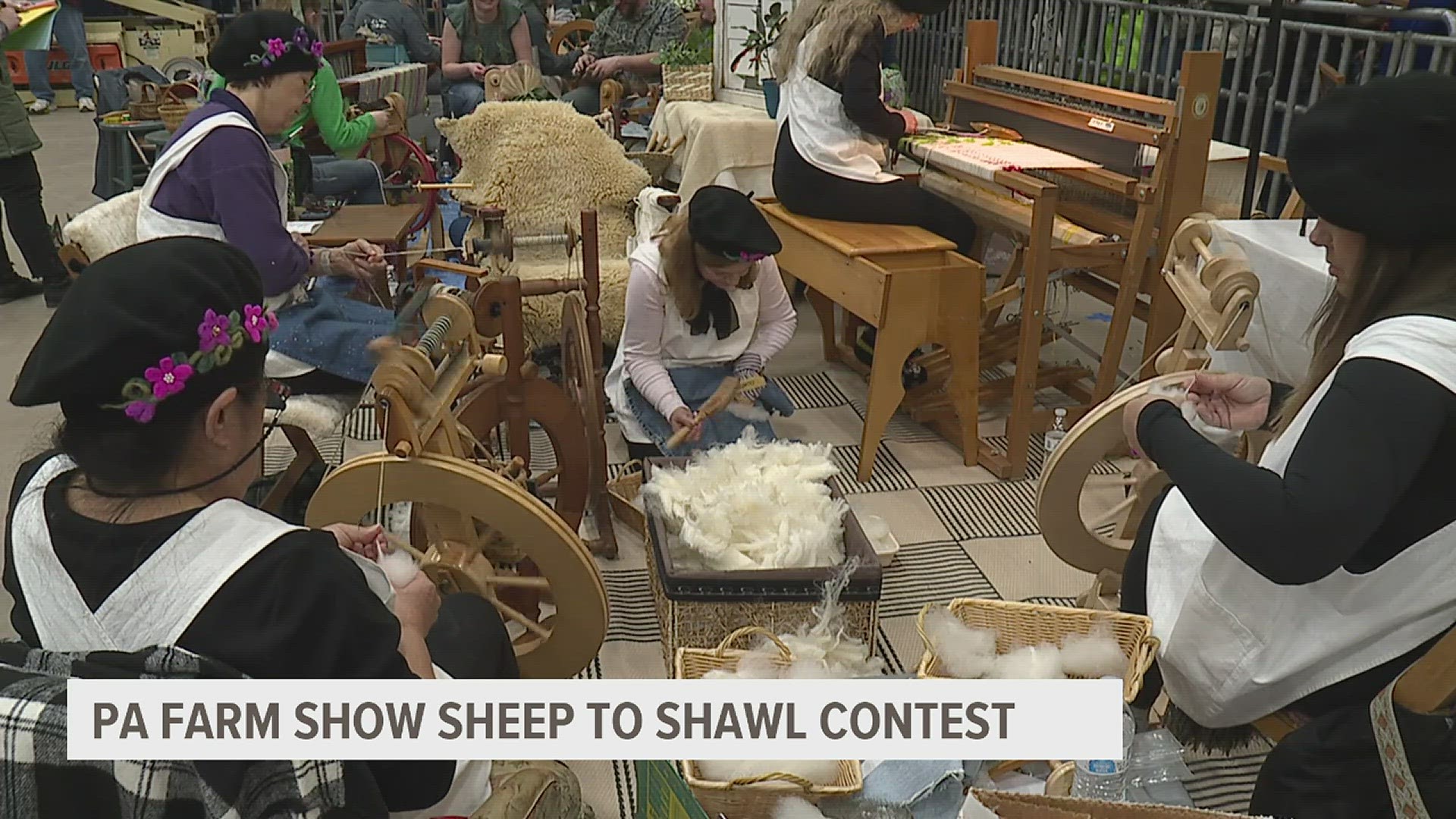 Sheep to Shawl contest returns to Pa. Farm Show