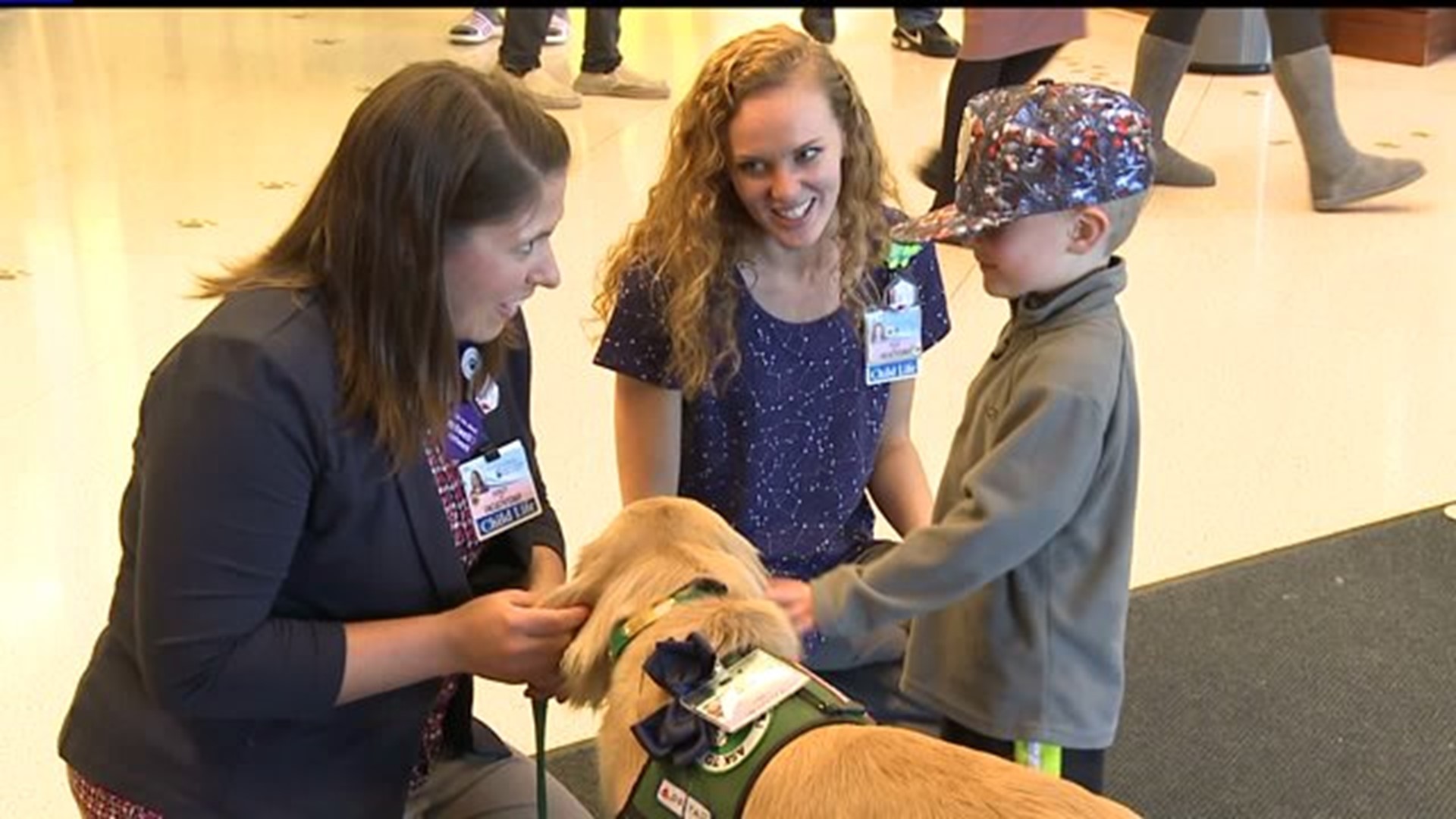 Dog helps children at Penn State Hershey Children`s Hospital