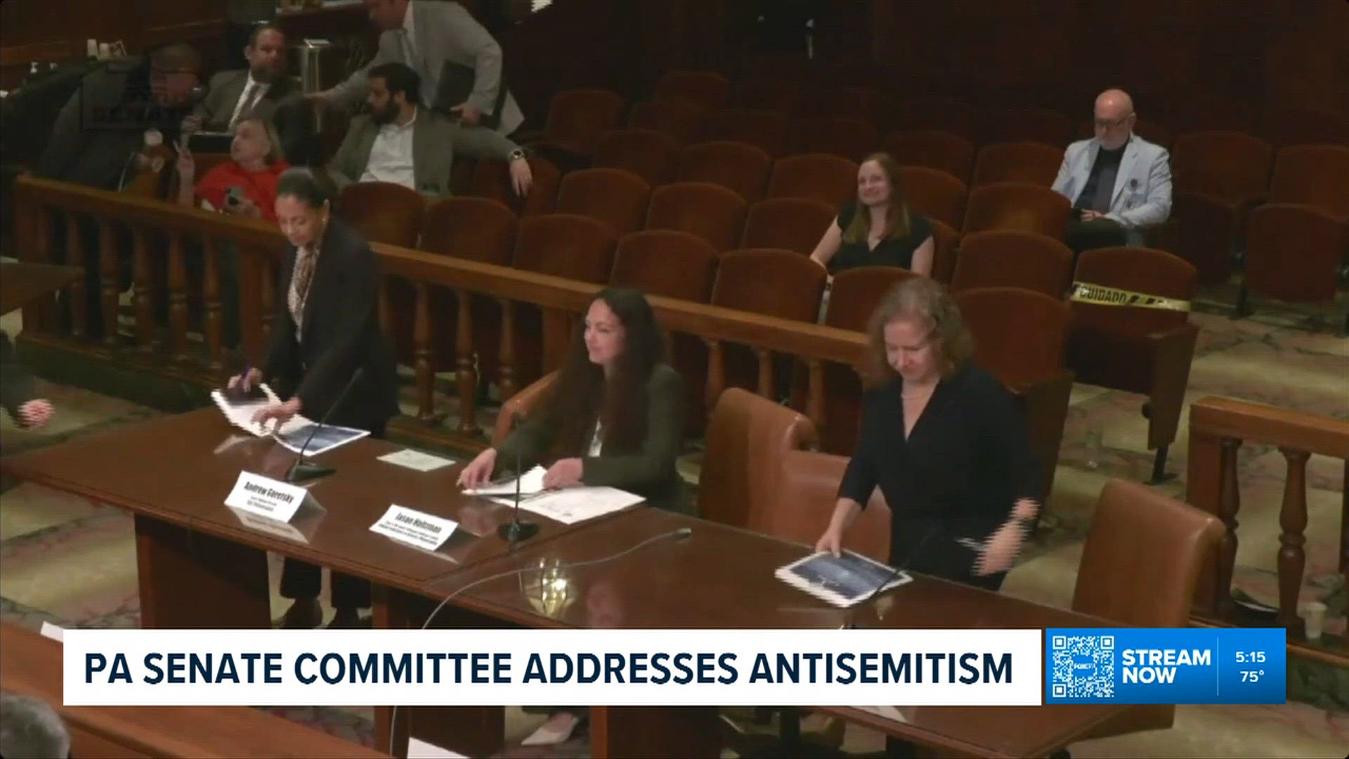 Pa. Senate committee hears testimony on antisemitism in schools and ...