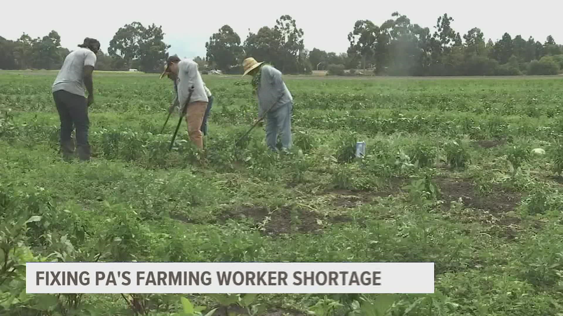 As families across America feel the impact of inflation at the grocery store, the agriculture industry is feeling the pinch of a labor shortage.