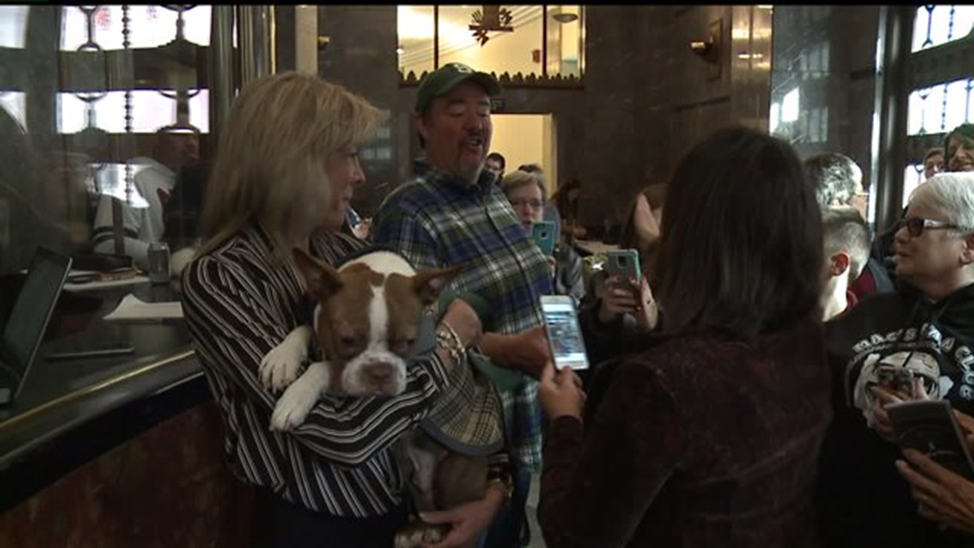 A popular pup makes his first movie premiere appearance