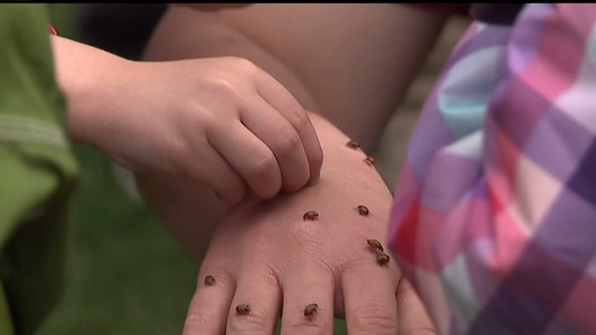 Kids 'Bugging Out' for Earth Day in Lancaster County