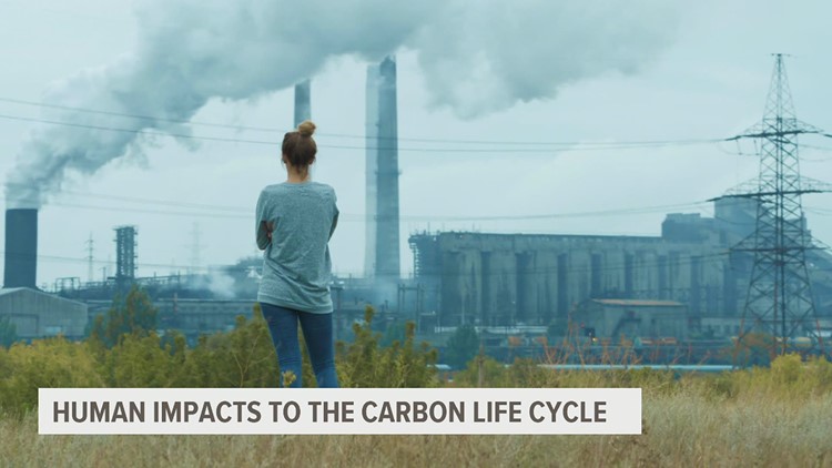 Disrupting the carbon cycle | Climate Smart 