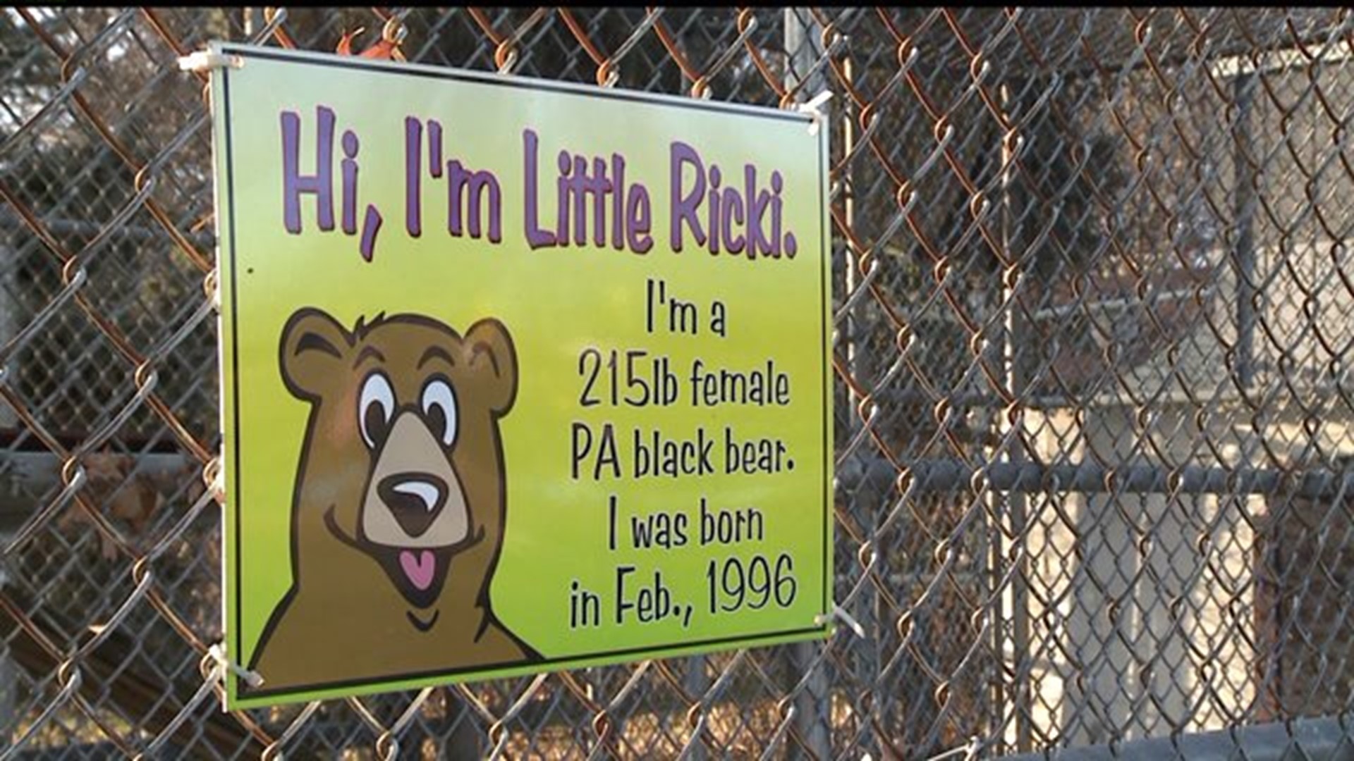 Effort to relocate caged black bear sparks lawsuit in York County