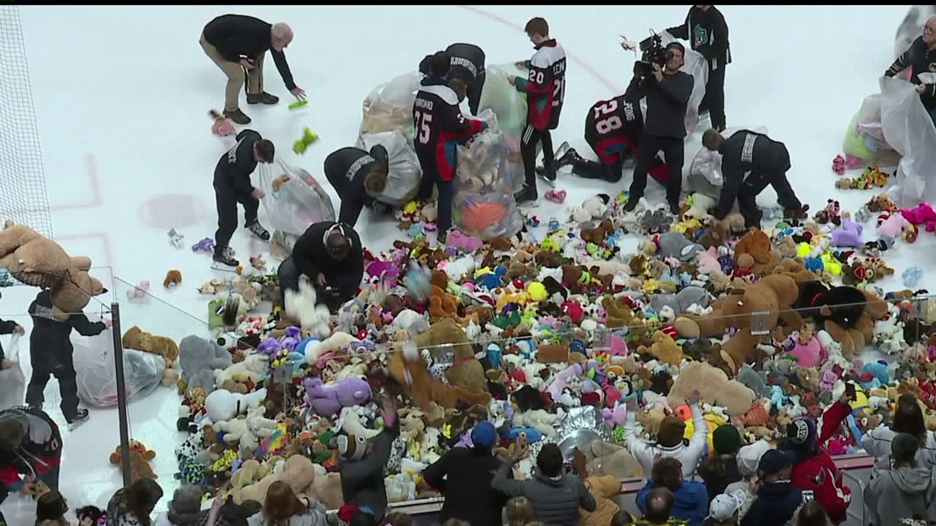 Fans break world record during Teddy Bear Toss at Hershey Bears game