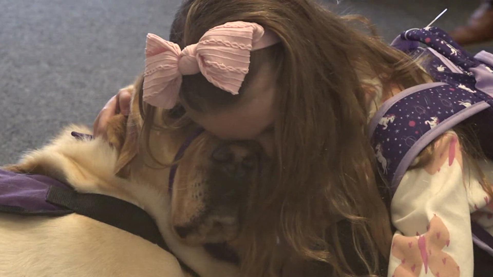 This playful yellow lab is making a "pawsitive" impact on the Bainbridge Elementary community.