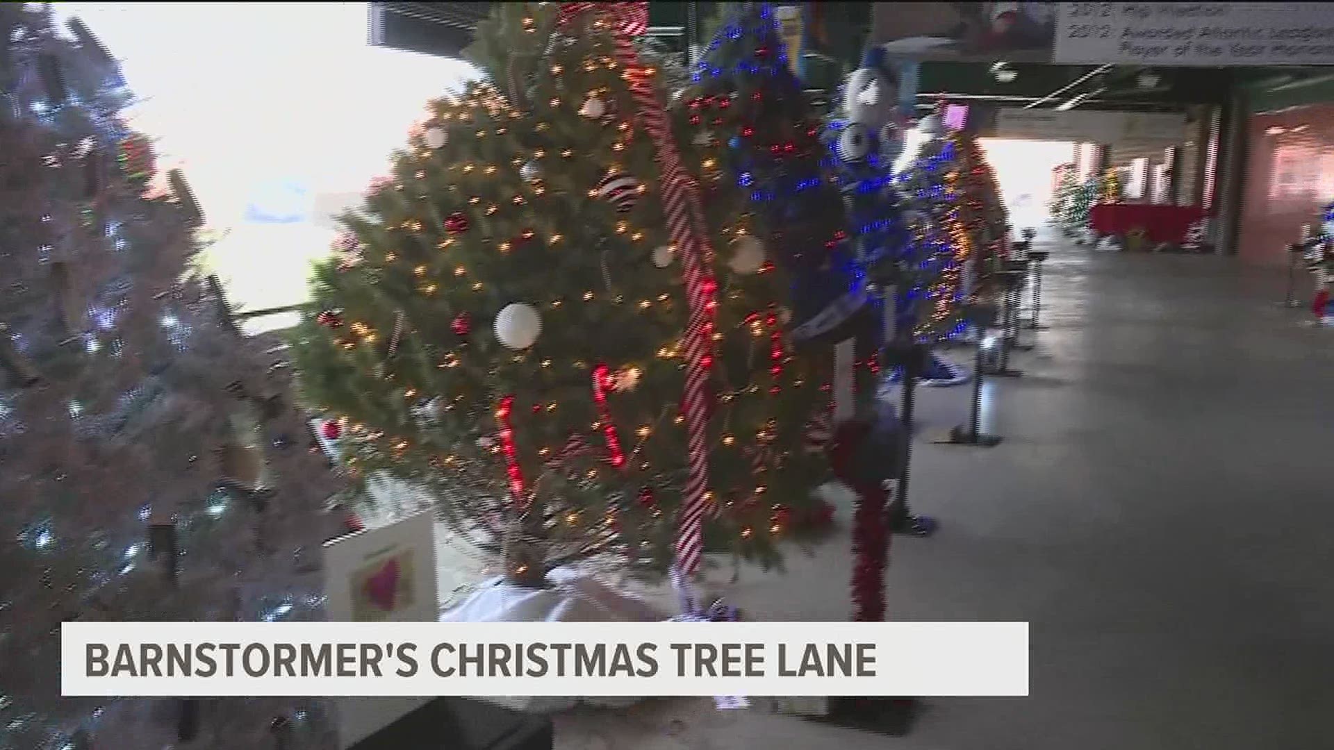 This year, the Lancaster Barnstormers third annual Christmas Tree Lane is not only helping non-profit organizations, but it's also supporting local shops.