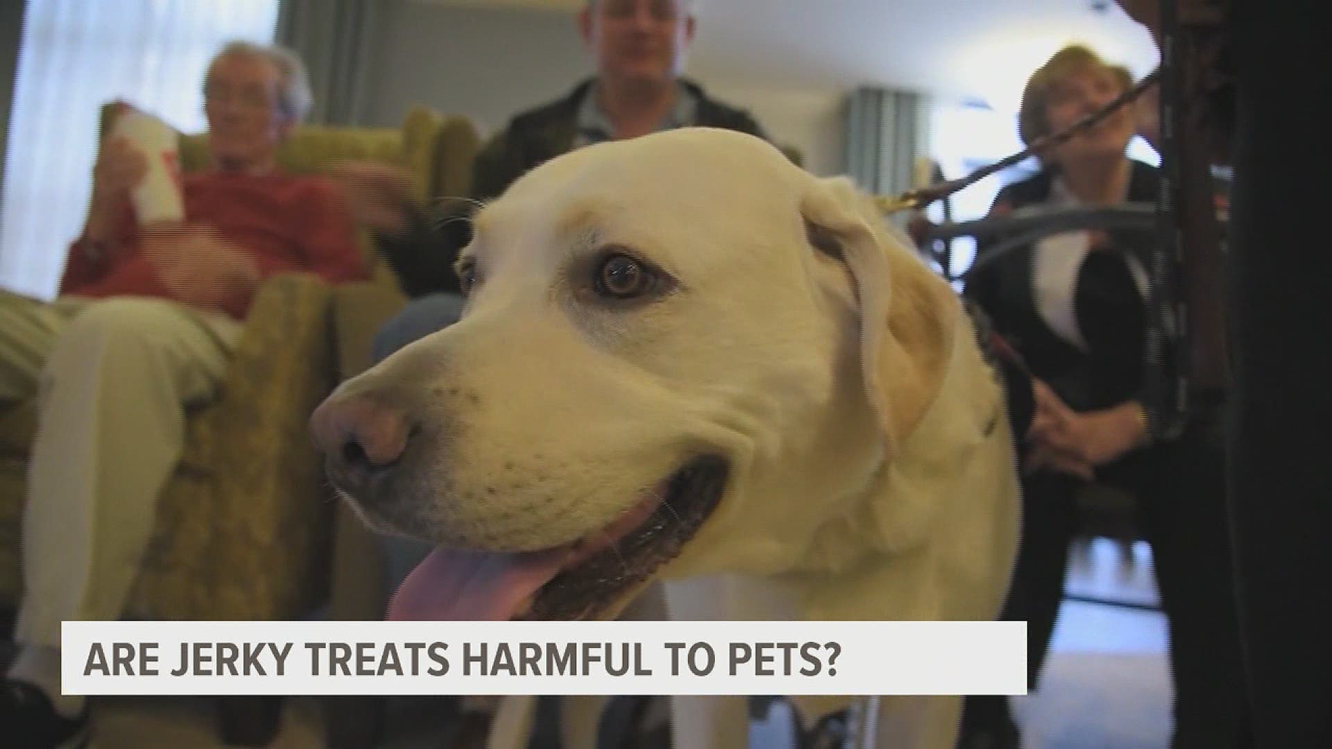 Dr. Bill Lewis of Lincoln Highway Vet Clinic spoke with FOX43's Chelsea Koerbler about being cautious about the types of treats you buy for your pets.