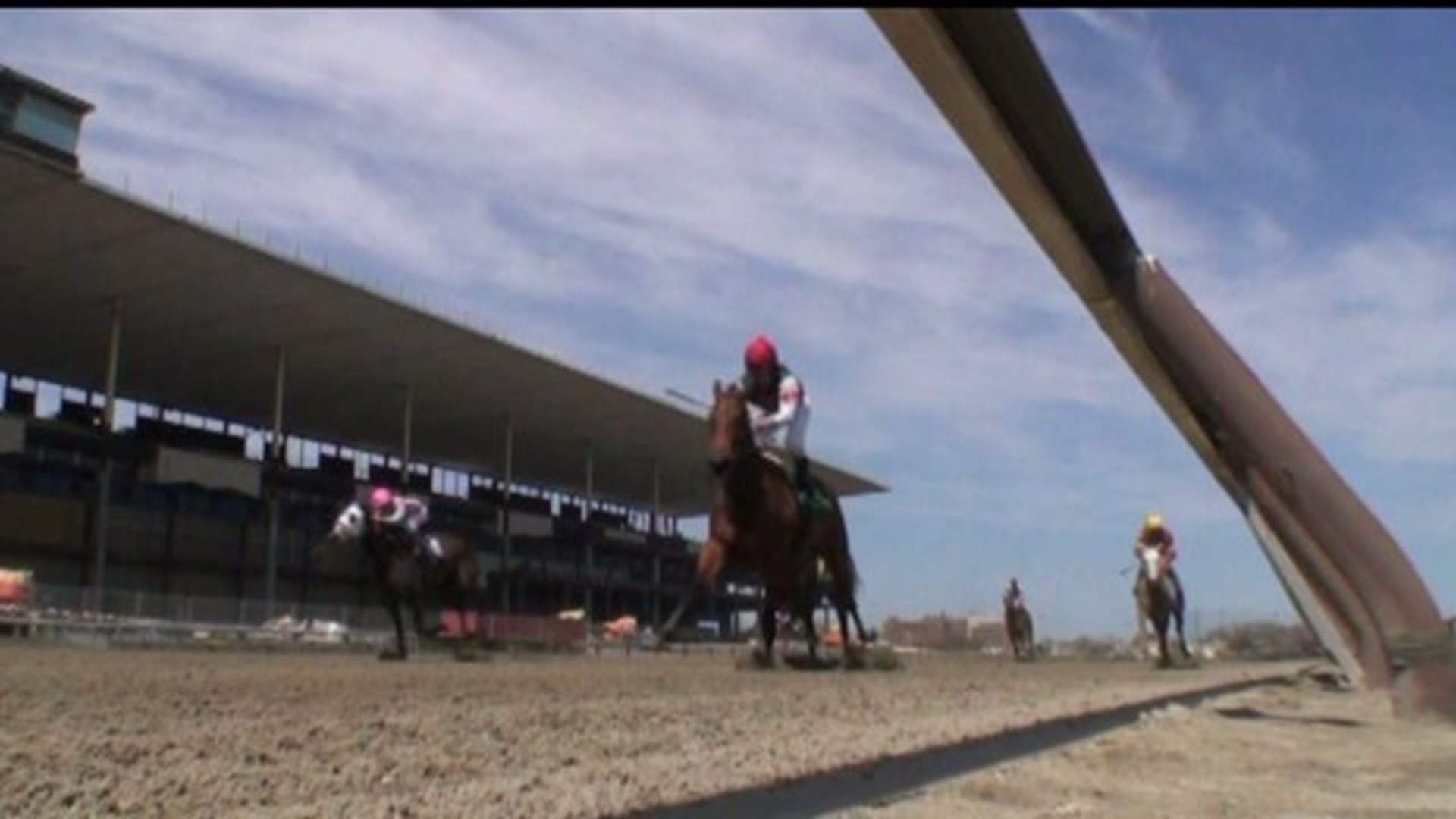 UPDATE Horse trainer to plead guilty in drug investigation