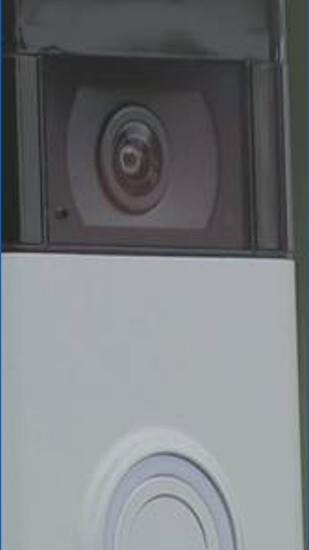 Cybersecurity experts weigh in on Ring's new AI-powered dog tracking feature