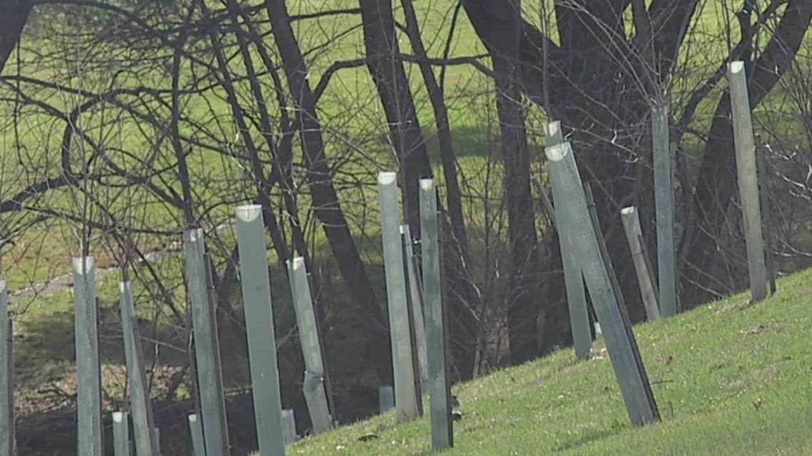 Local environmental leaders hold tree buffer workshop to help protect ...