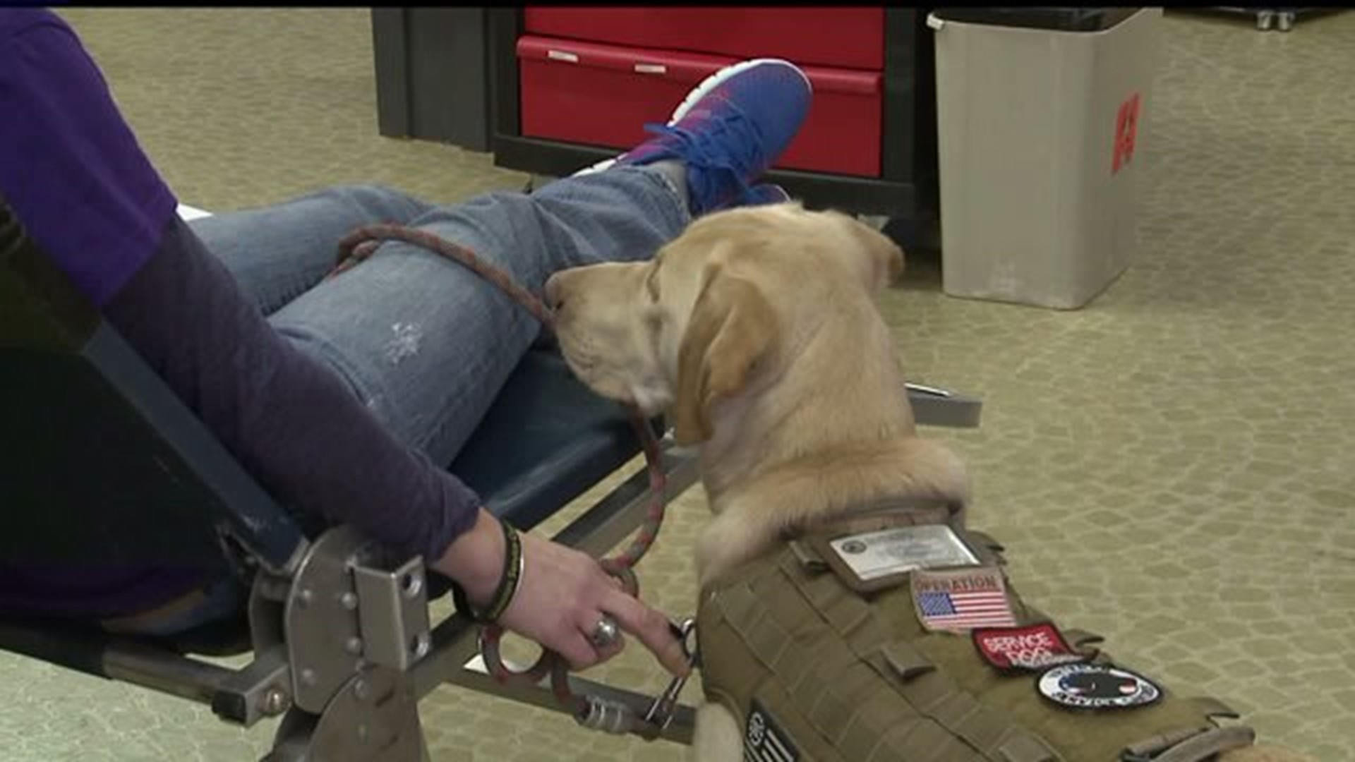 Blood drive held to support Veteran Service Canines