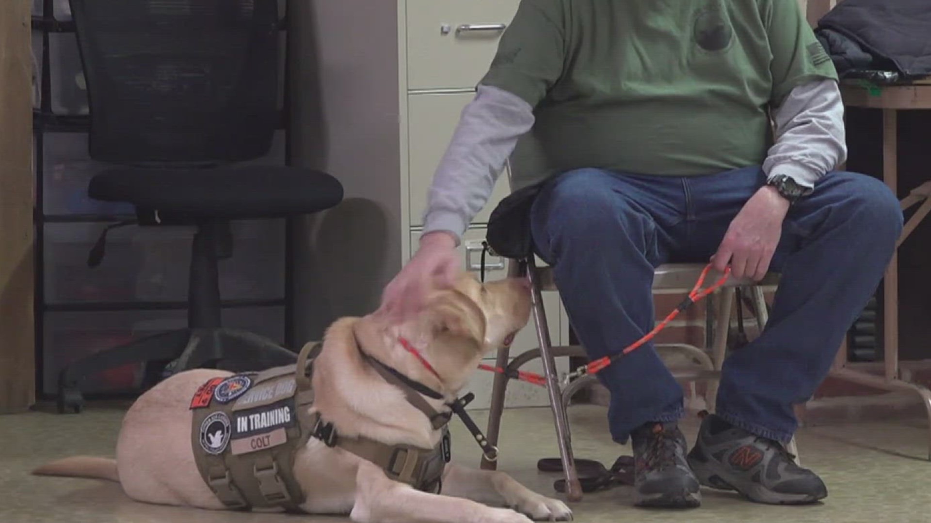 In this week's On the Bright Side, see how Cover Six Canines has been life-changing for veterans and first responders.