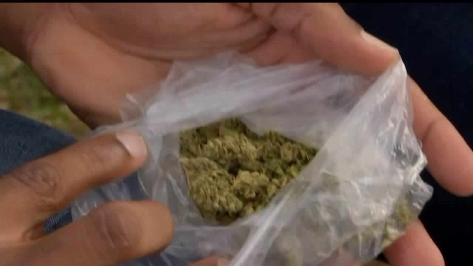 Lancaster considers reducing penalty for possessing small amounts of marijuana