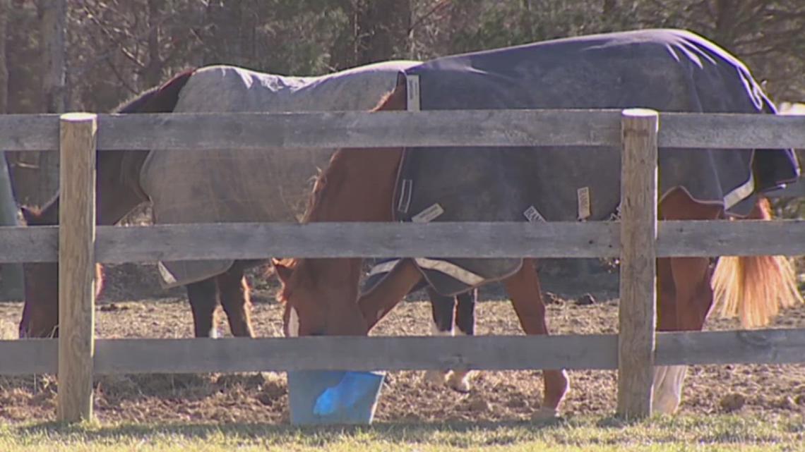 First Frontier Circuit Finals Rodeo to proceed with precautionary measures amid EHV‑1 concerns