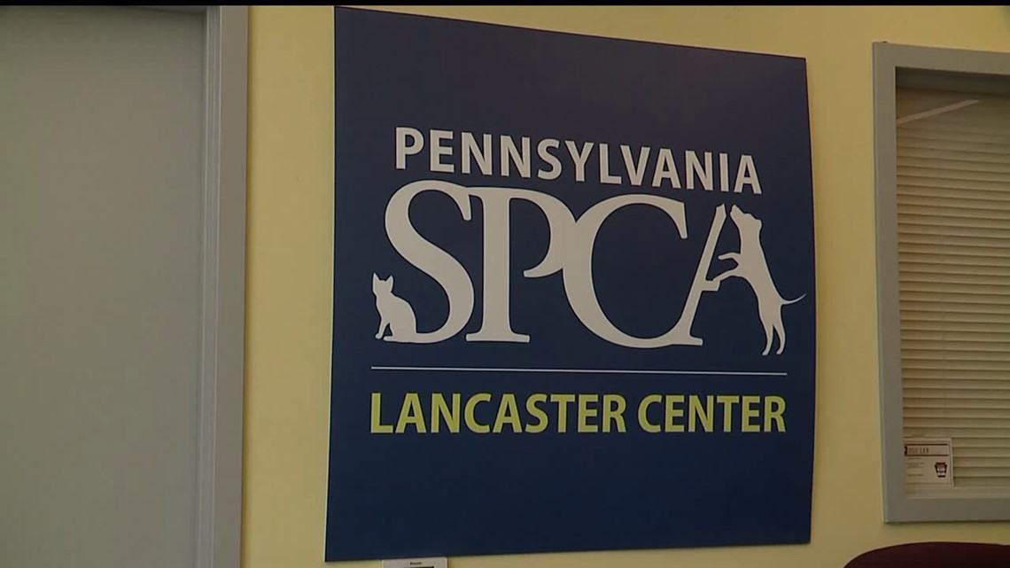 Lancaster SPCA reopens under new management