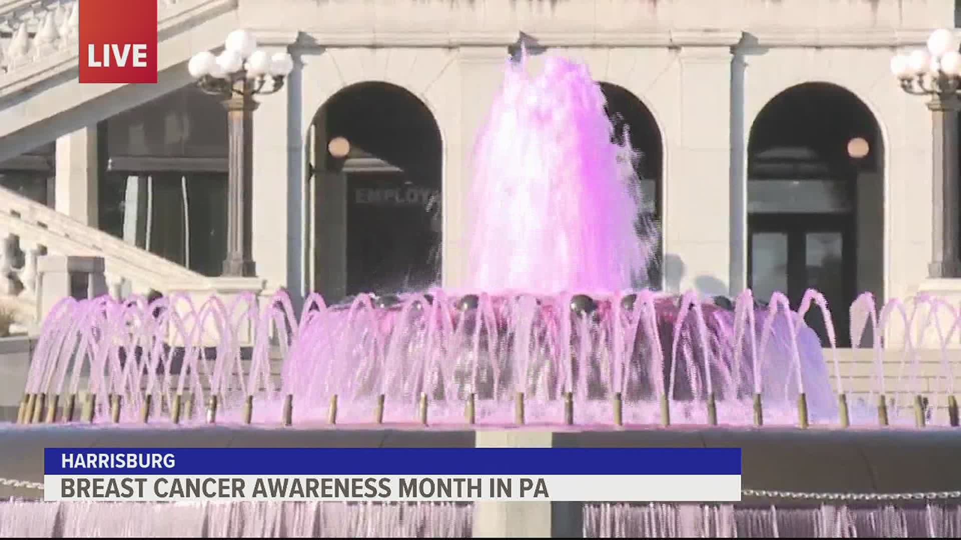 For the month of October the capitol fountain will remain pink as a symbol of hope, and to remember the women who lost their battle.