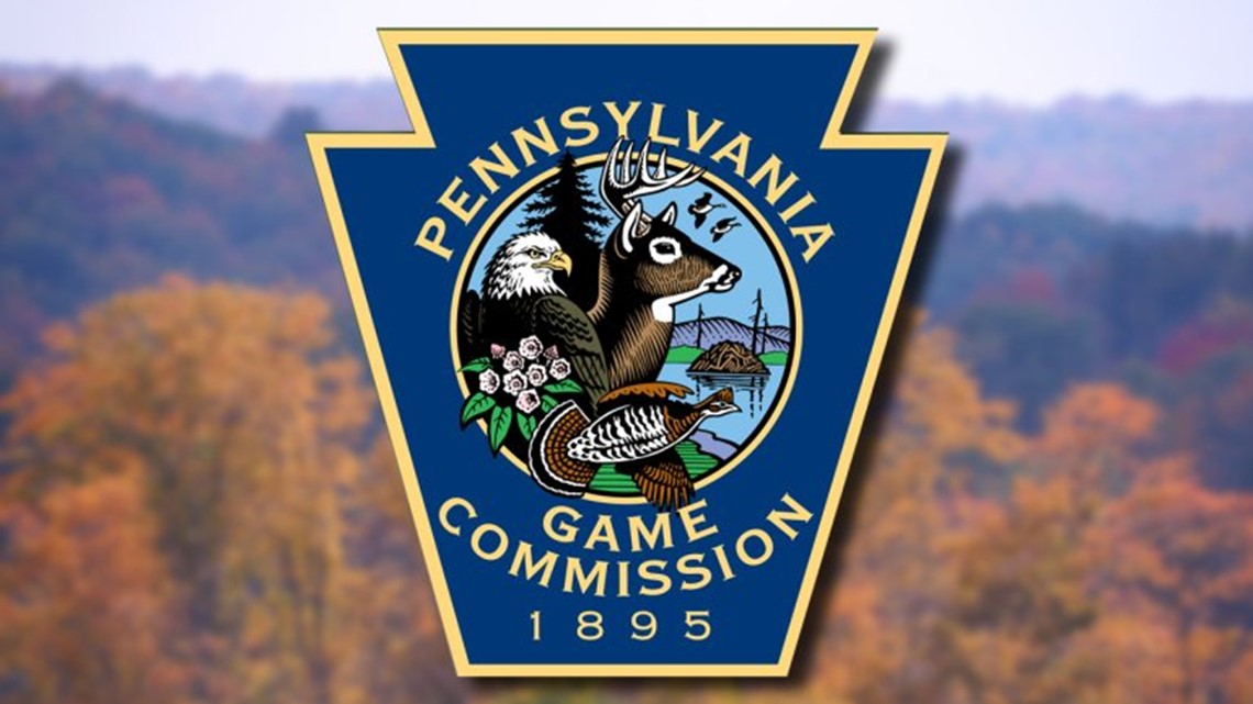 Beware Spike Strips Placed On Game Lands Trail Fox43