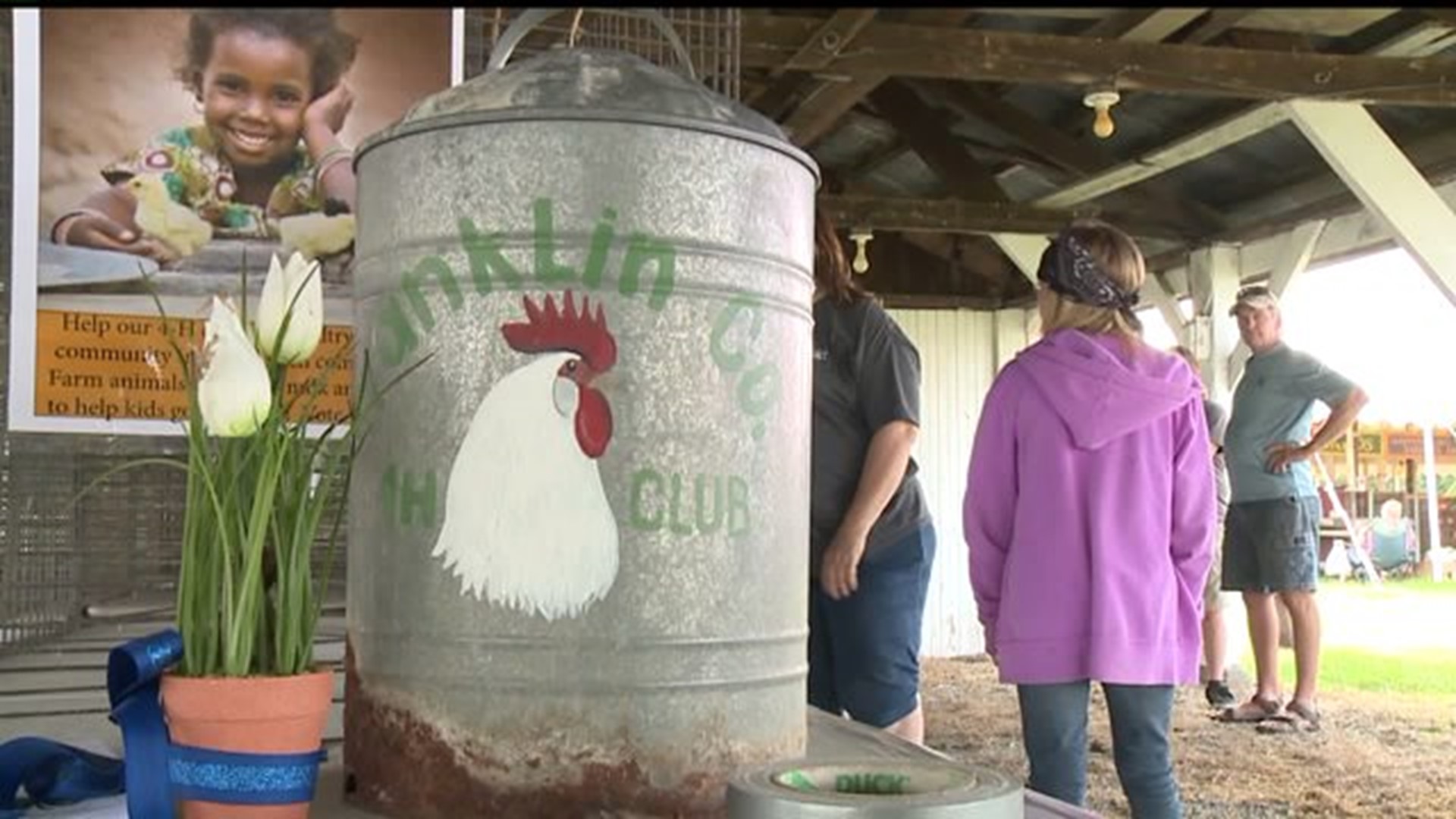Franklin County Poultry Club returns to fair, without chickens