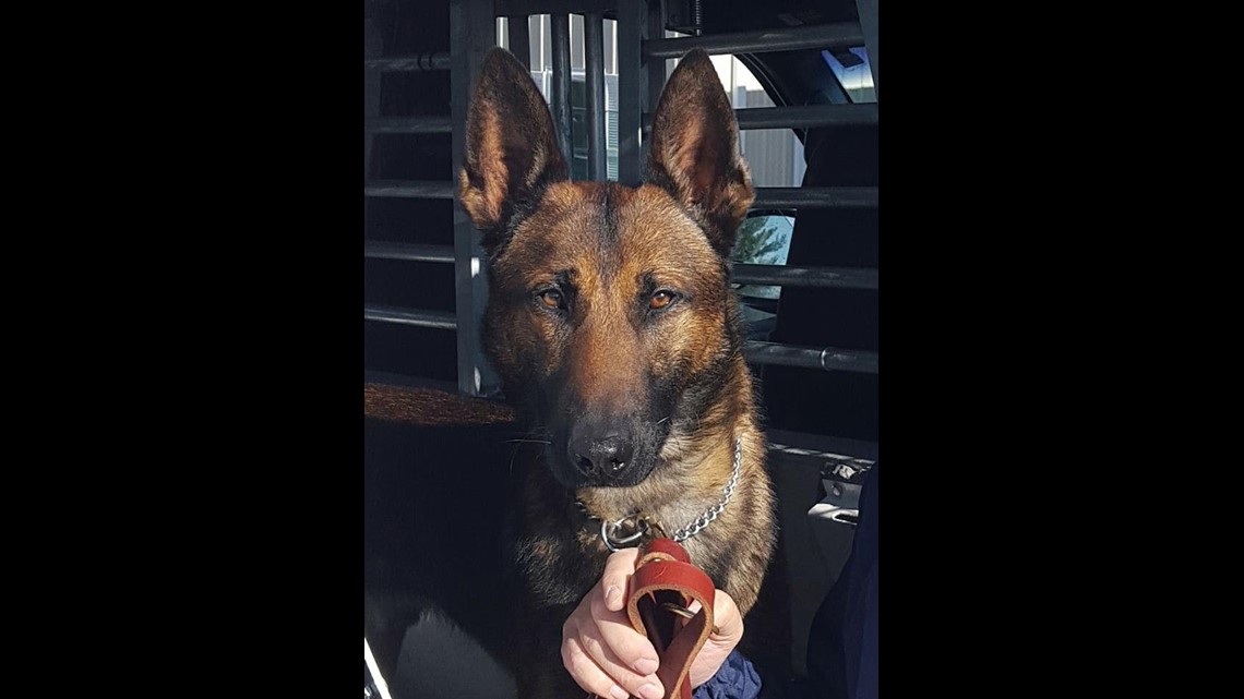 Dauphin County Sheriff K9 injured in line of duty