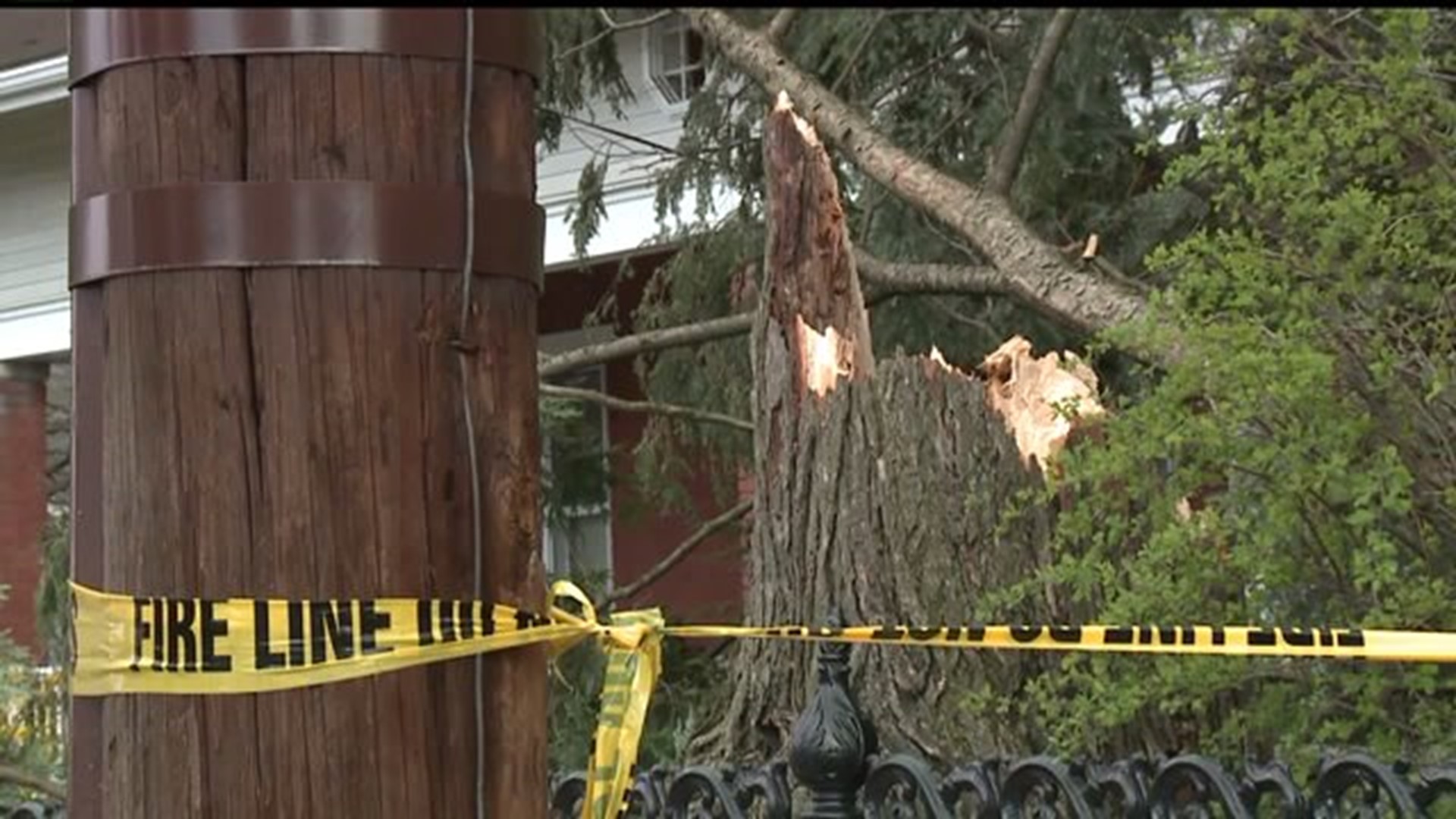 Tree falls into home in Cumberland County