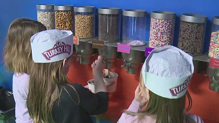 Create your own ice cream flavor at the Turkey Hill Experience | Family First