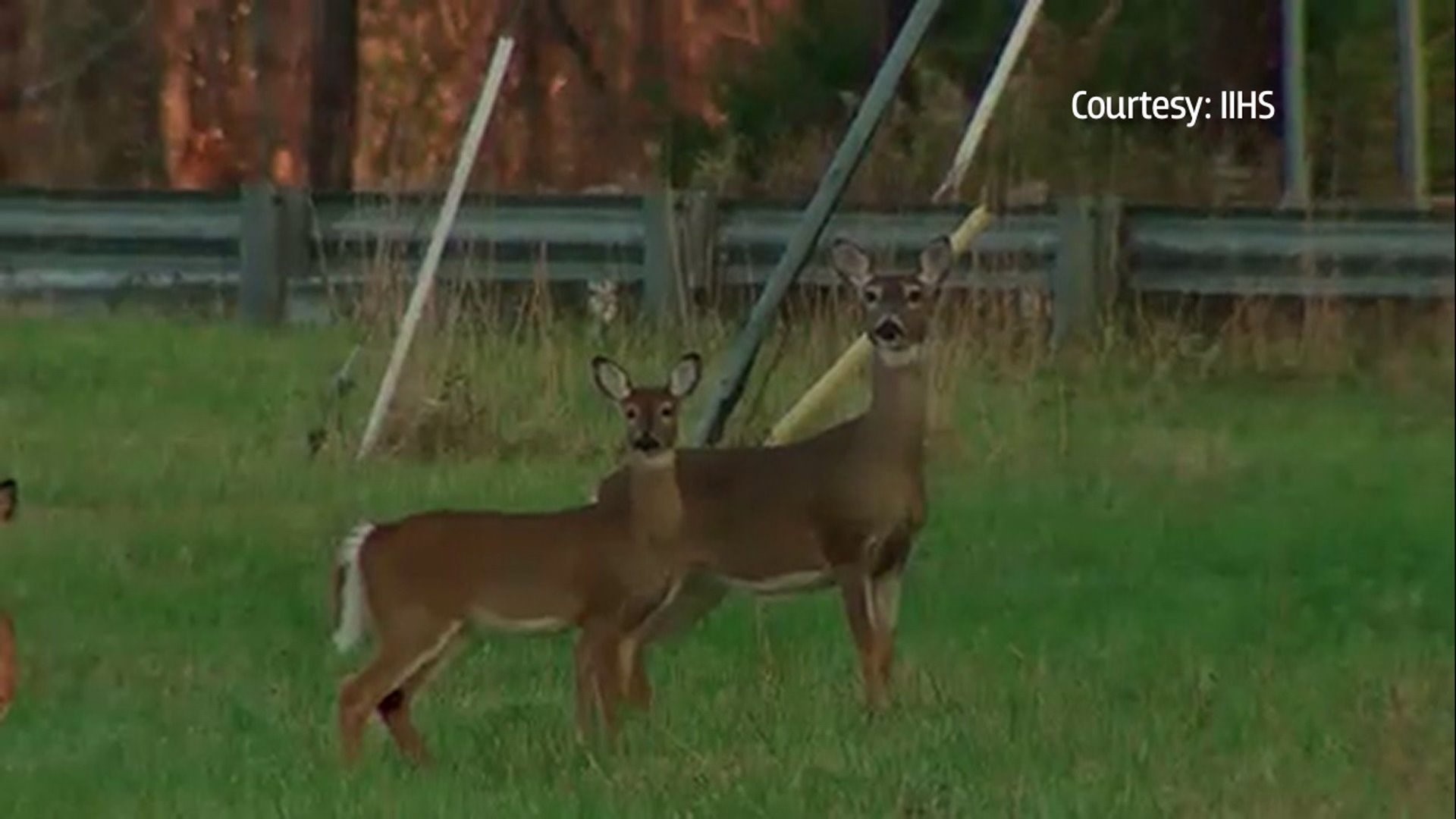 PA hunters post highest deer harvest total in 14 years